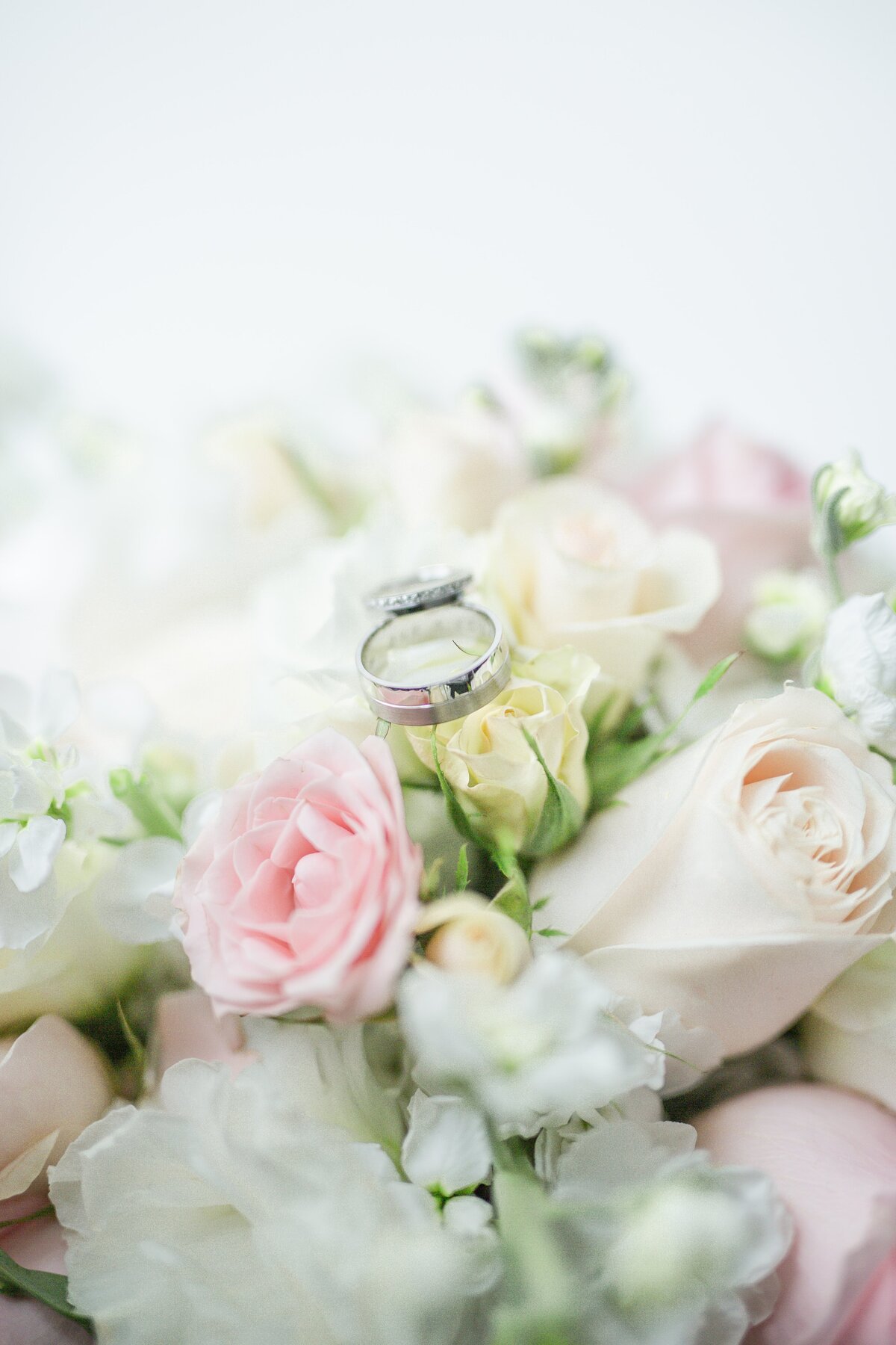 ivonne-adame-R5Ep7Z5leIU-unsplash