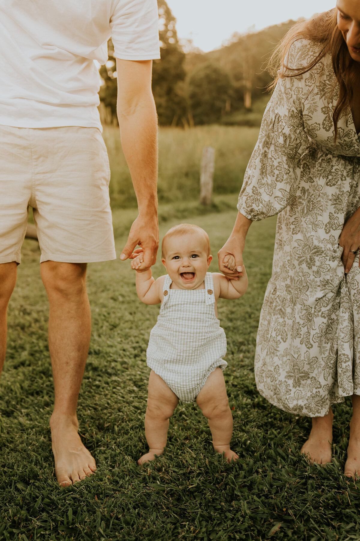 Family HR-31