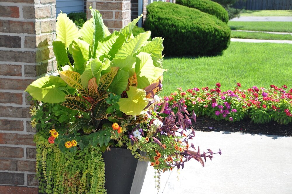 Residential landscape company project in Kansas City