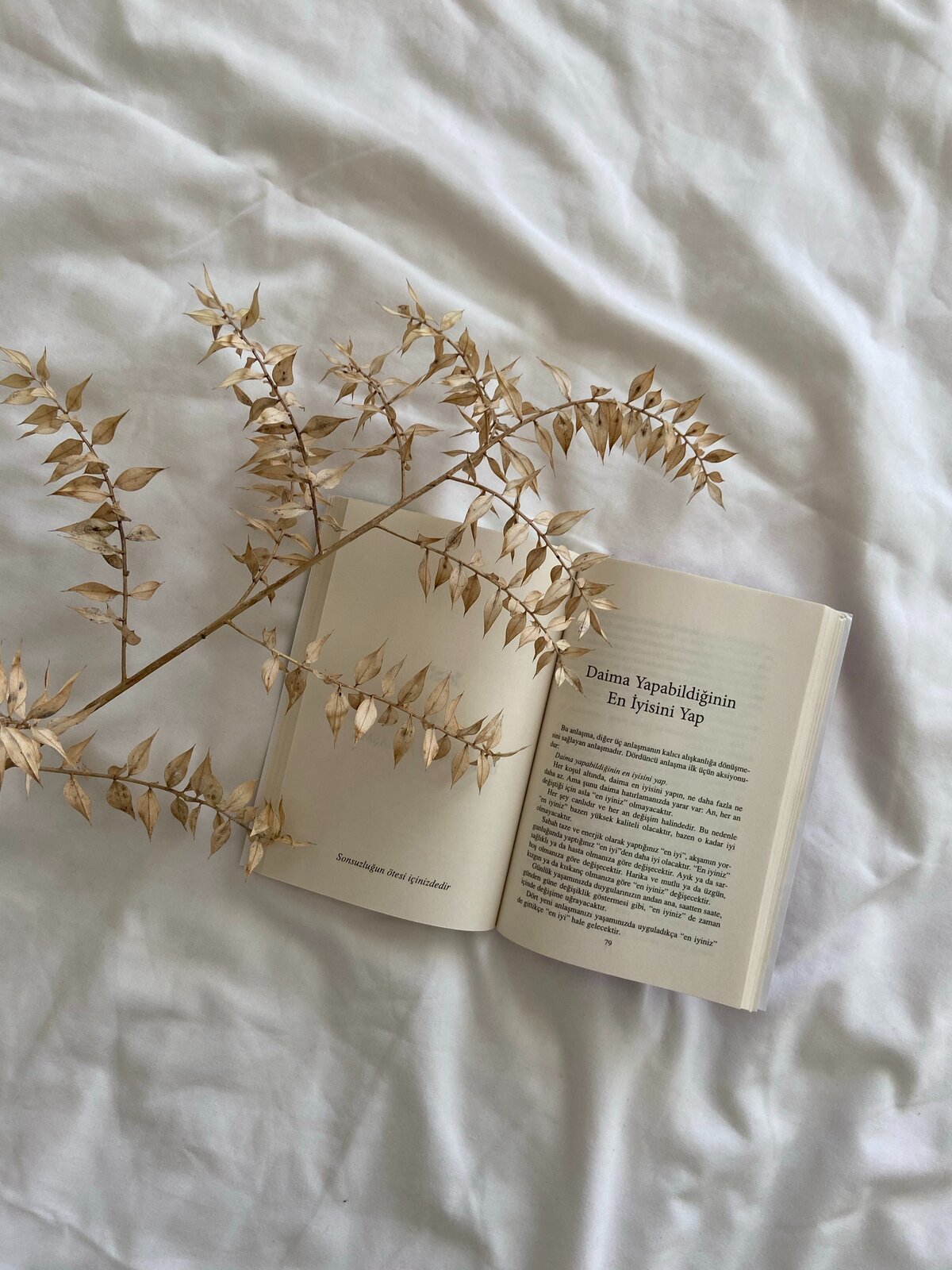 pexels-dilruba-sarıçimen-7534336