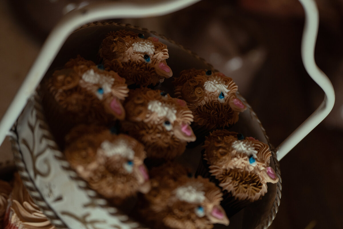Stitch in Time Photography-016