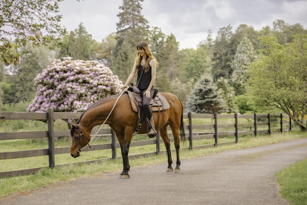 seattle-equine-photographer1