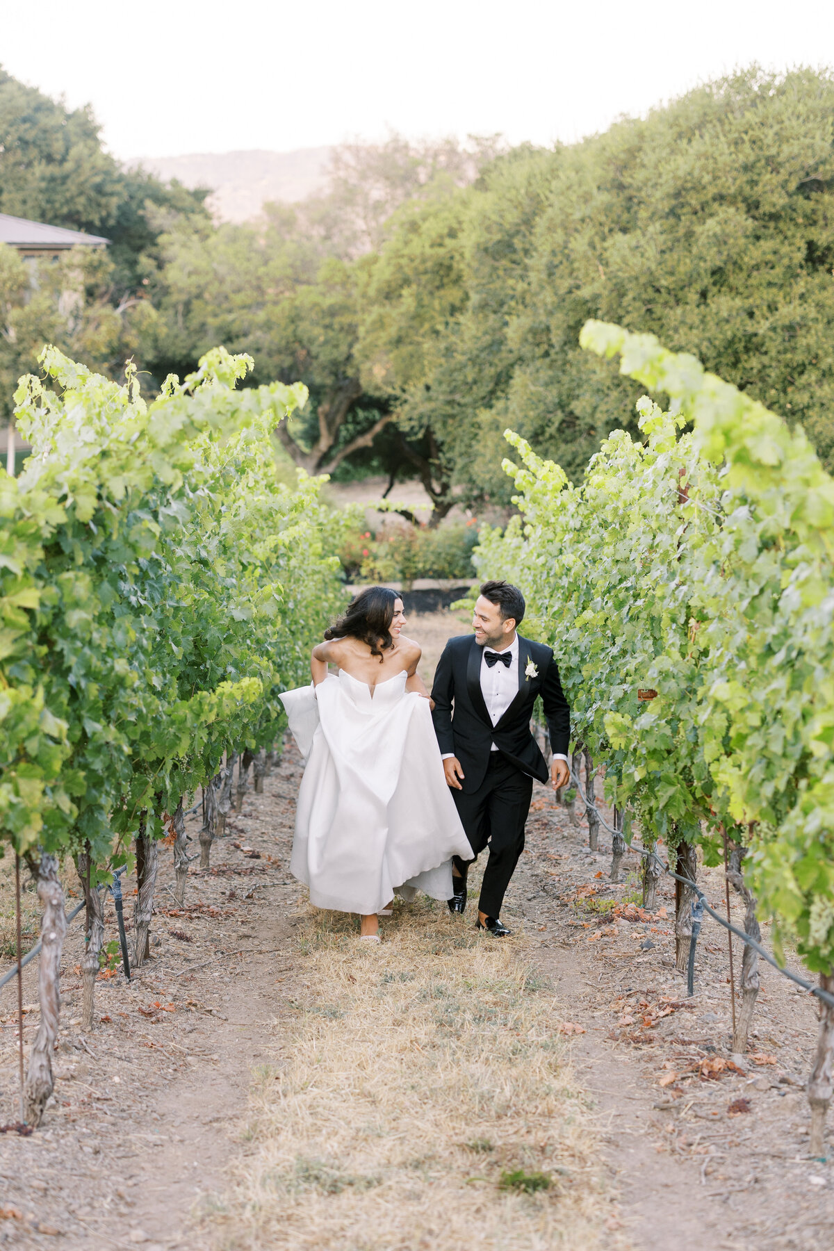 Alik-Nevart_Napa_Hannah-Berglund-Photography_Sunset-Portraits-57