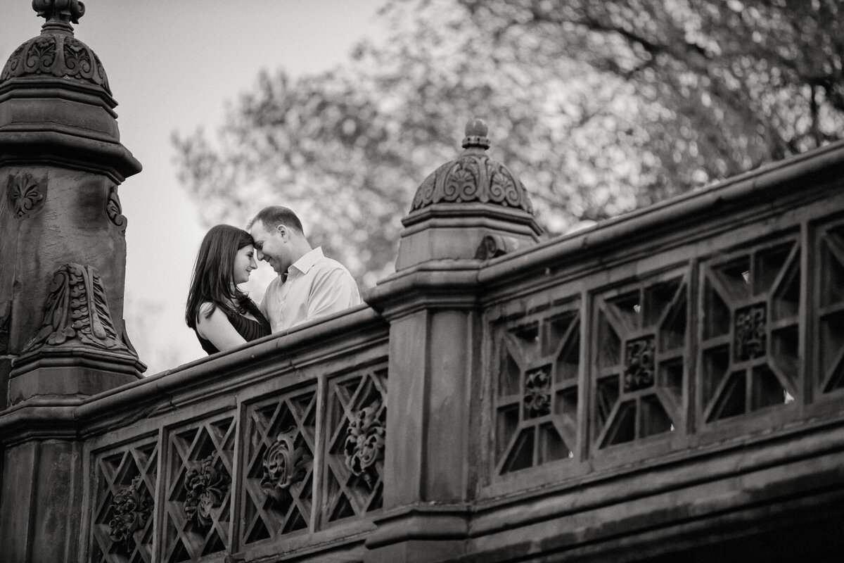 central park bethesda terrace engagement