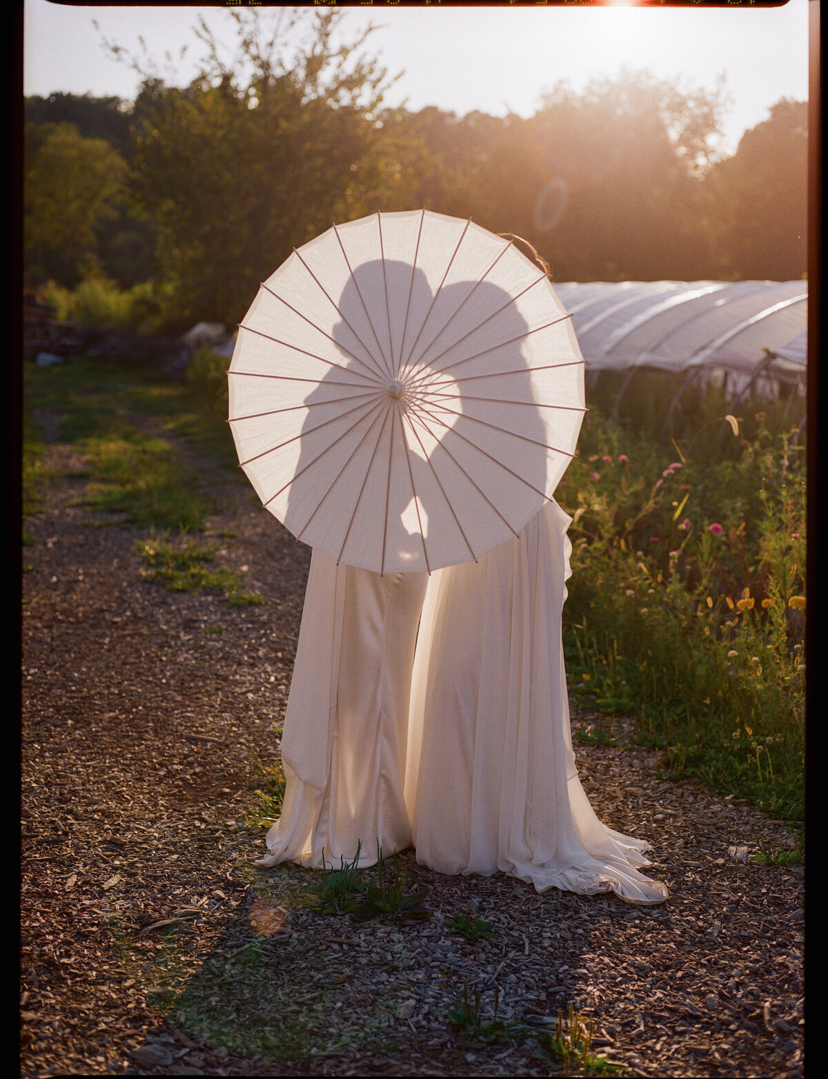 kodak_800_c_41_27681_105691_237404_002372990013