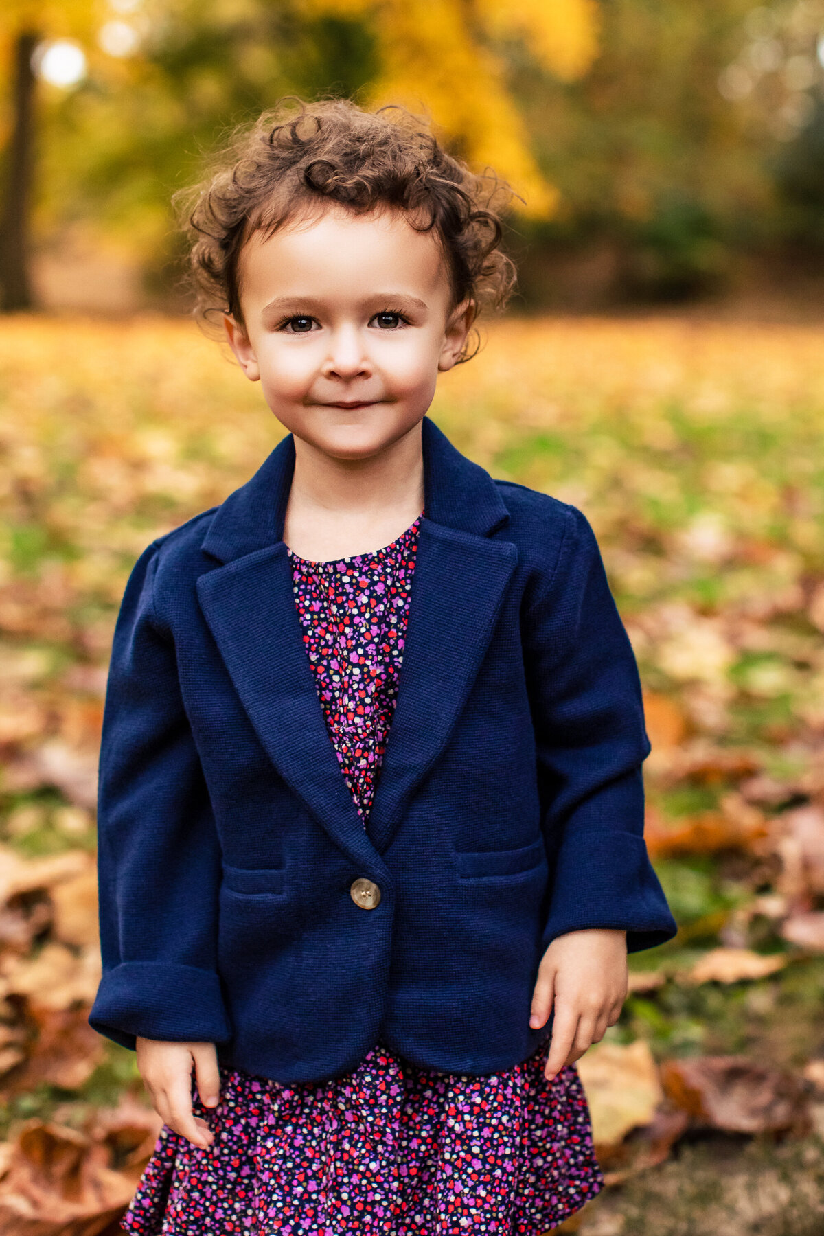 Three year old girl with curly hair and an oversize blue coat poses in a fall leave field near Sewickley Pennsylvania for family portraits