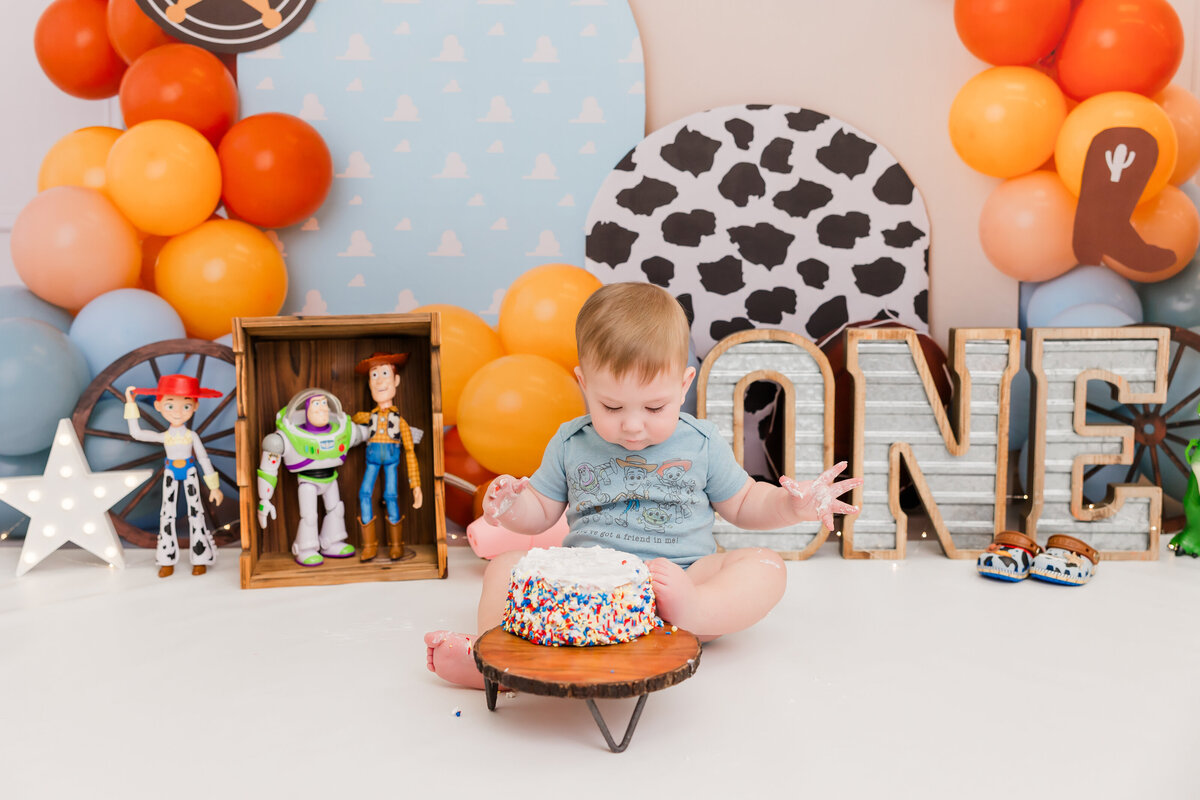 Dawn Bair First Birthday Photoshoot-63