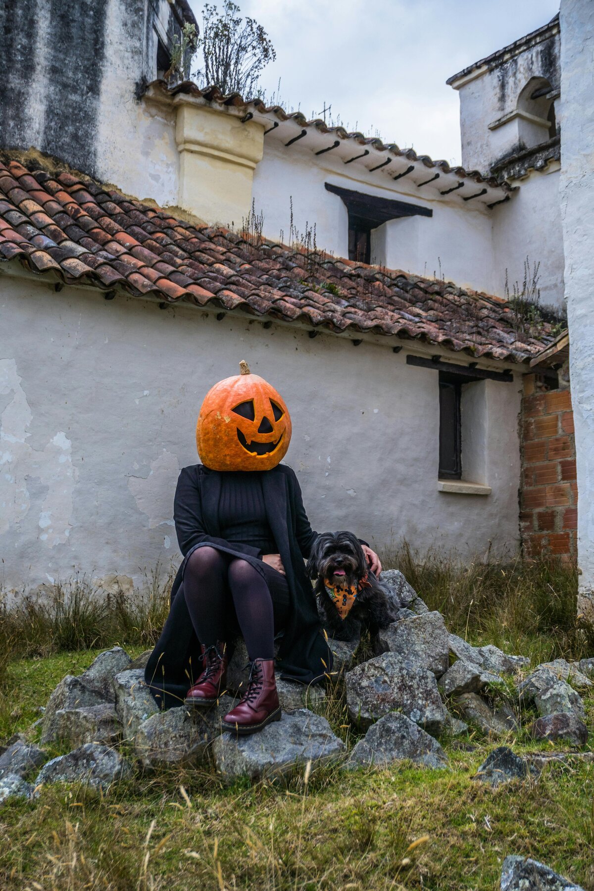 woman with a dog