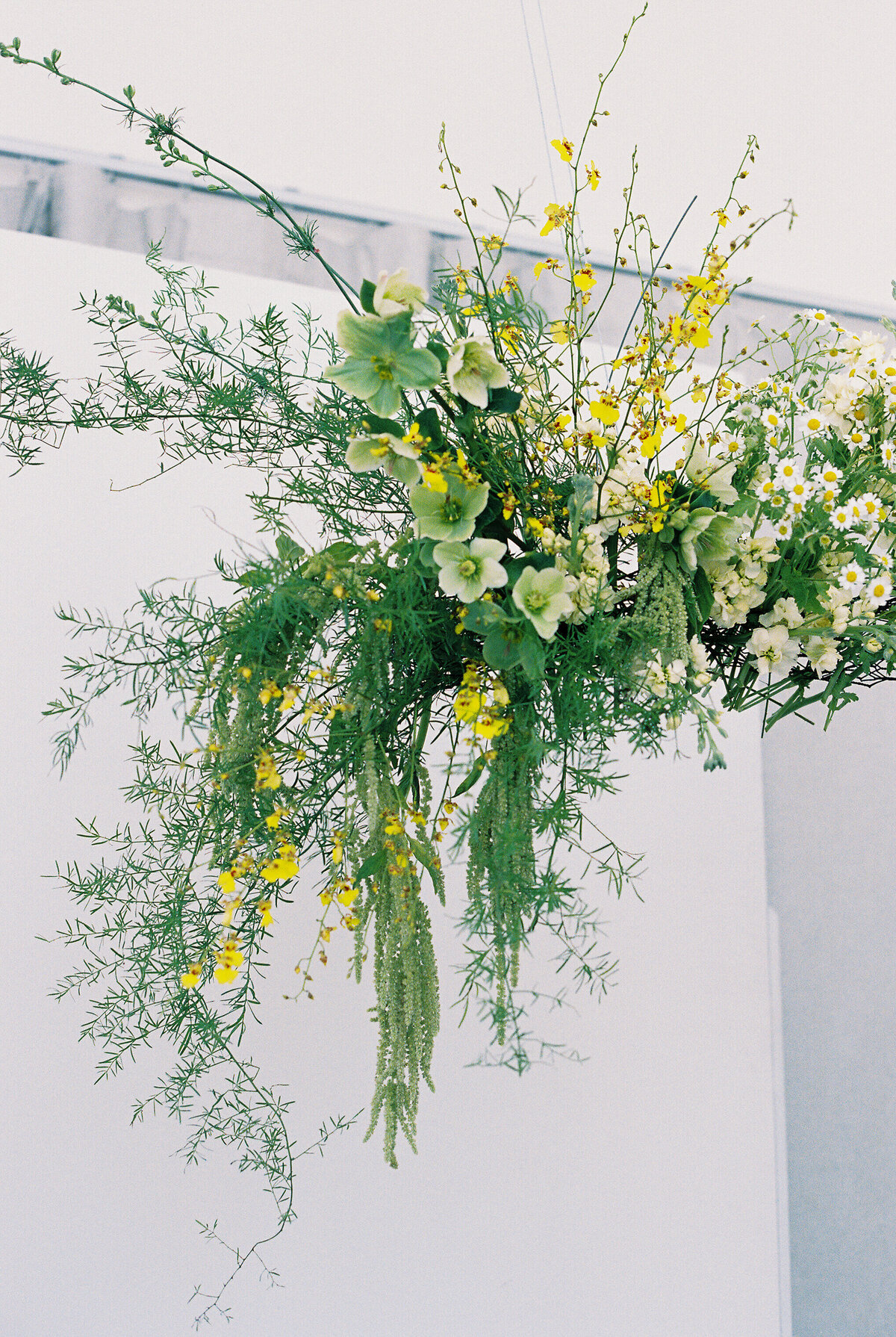 250427 Epsilon Floral_film-12