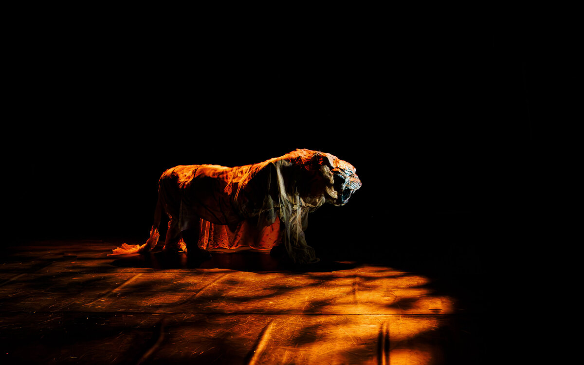 HISTOIRES INVISIBLES Le truculent exode rural des fantômes du Bengale ©Marie Charbonnier-55