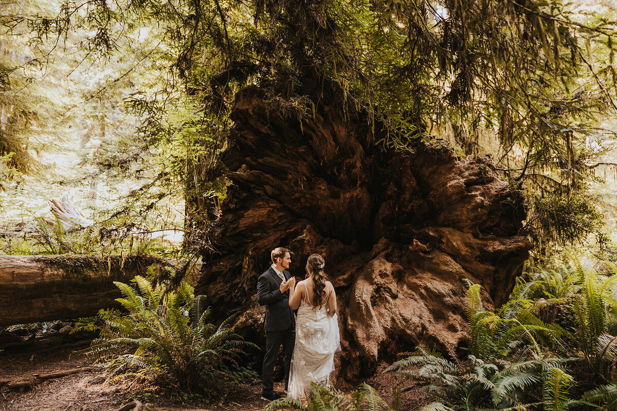 Redwood-national-park-elopement-venturing-vows-101