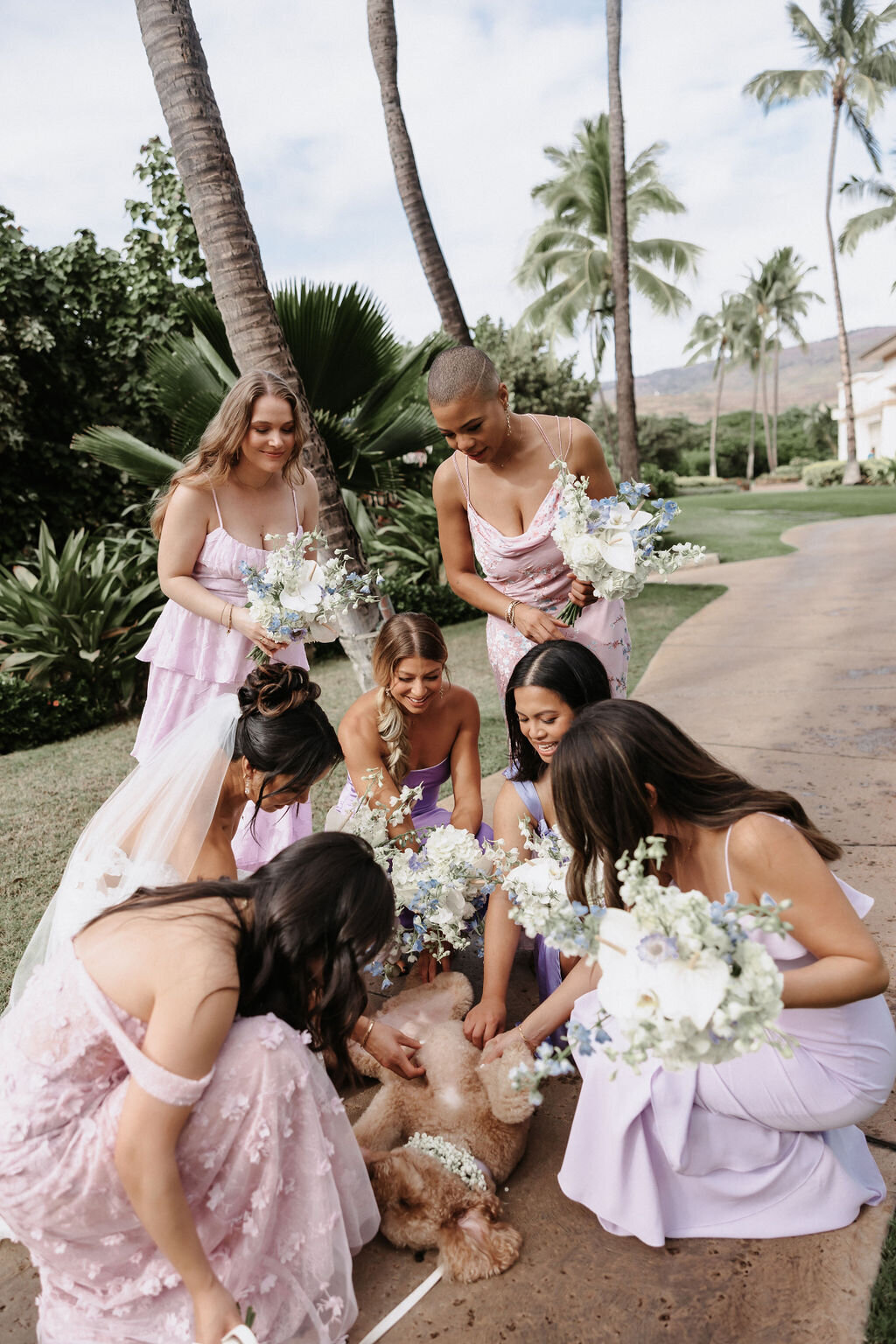 Bridesmaids petting dog at Four Seasons Oahu