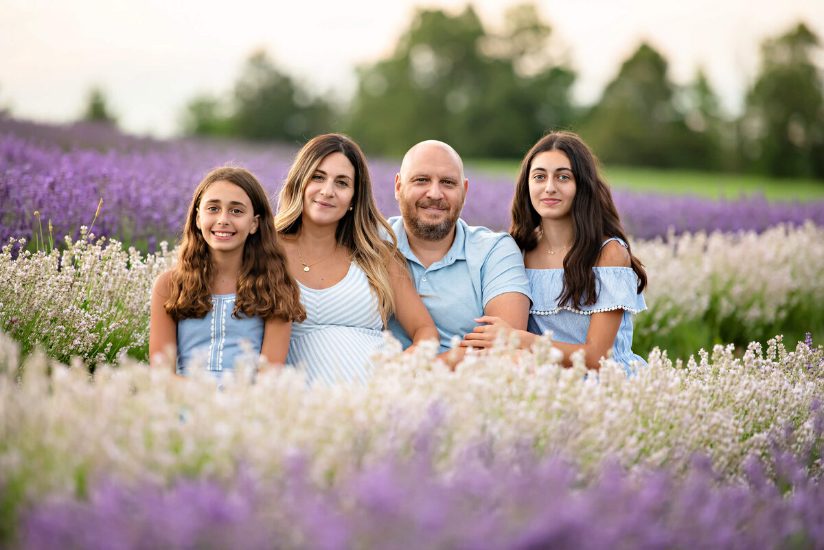mom and dad with their two teen daughters sitting in a lavender field for their outdoor summer maternity photography session in Burlington, Ontario