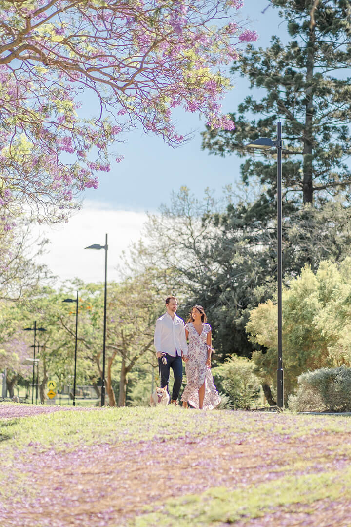 couple walking along uq lakes under jacarandas for engagement