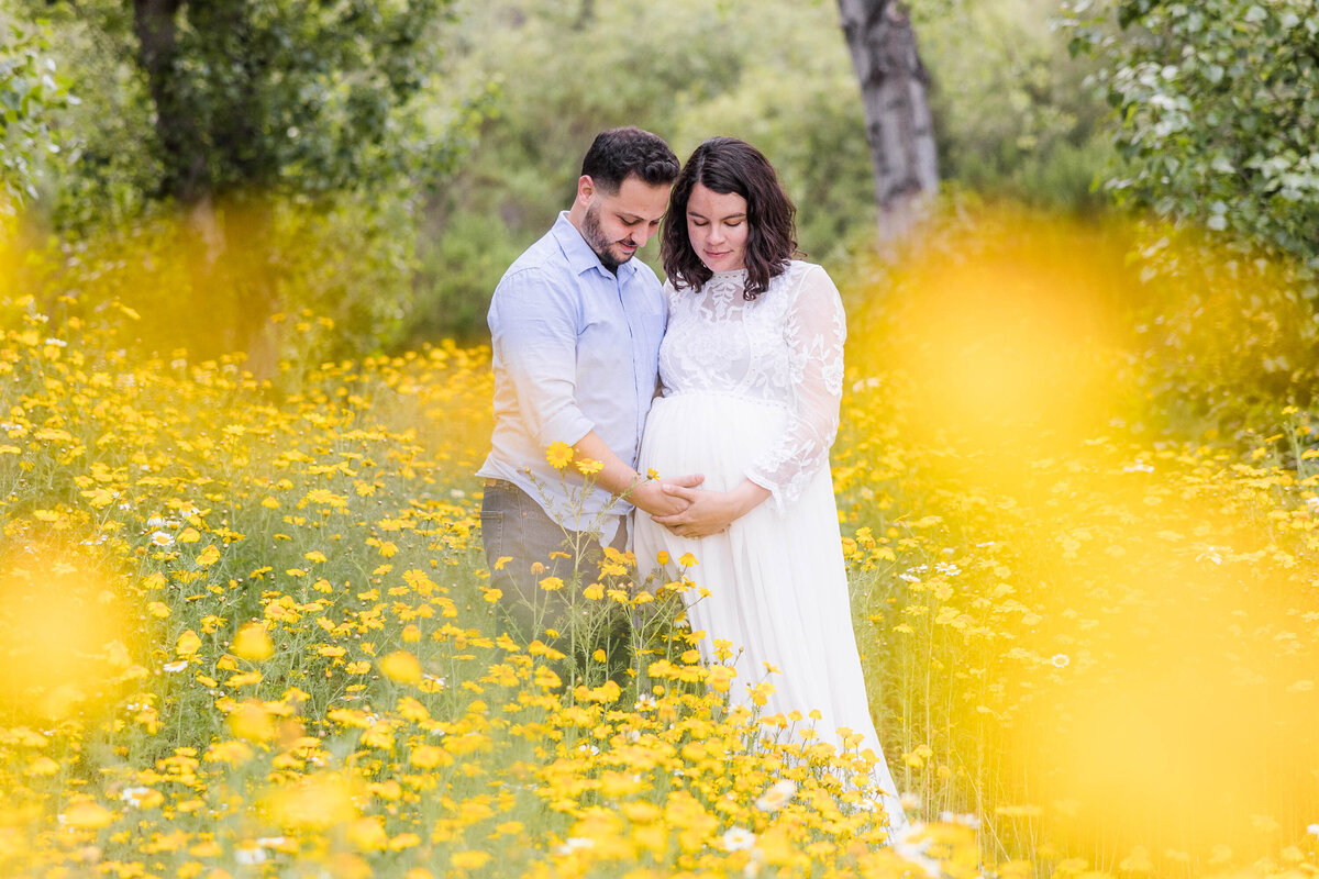 maternity-photography-san-diego-field-of-yellow-daisies