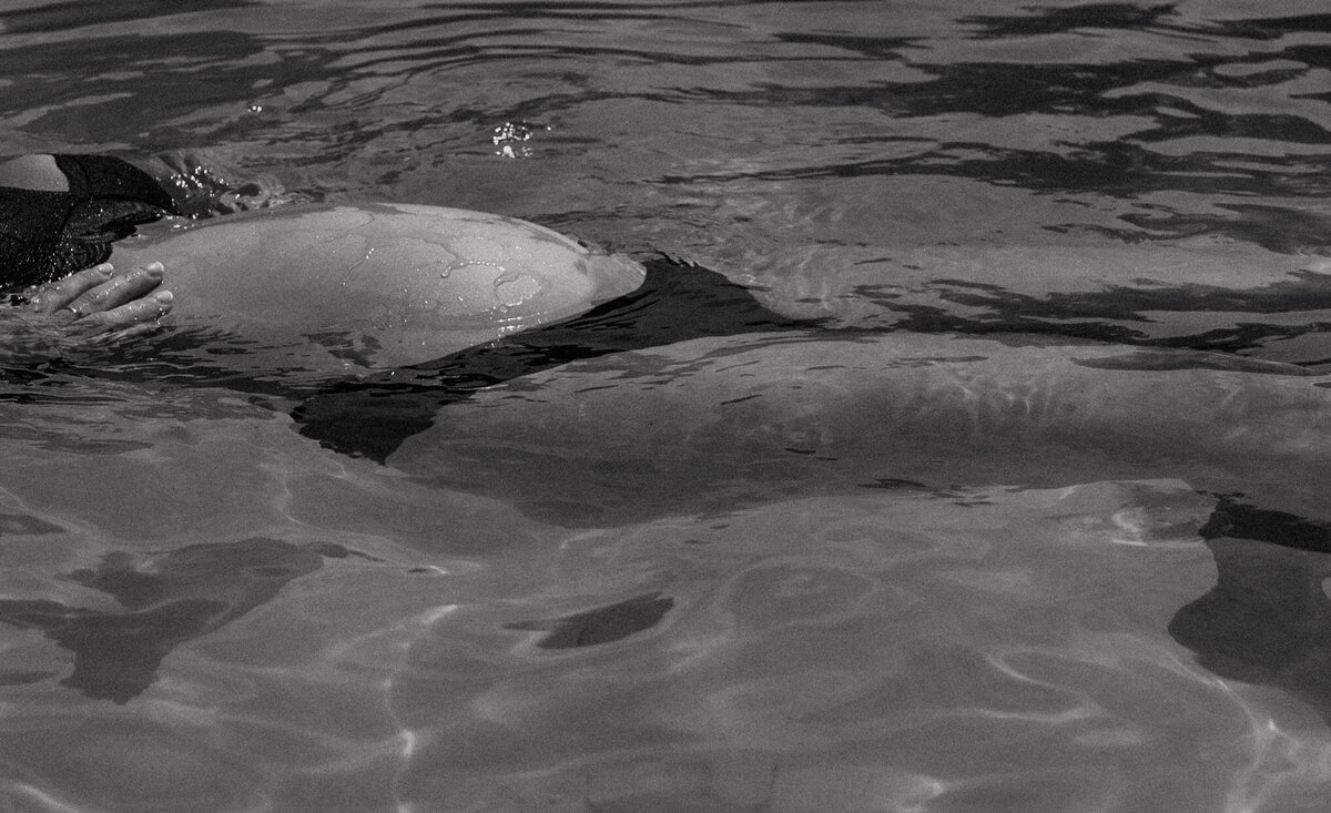 meg'sunderwatermaternity-94