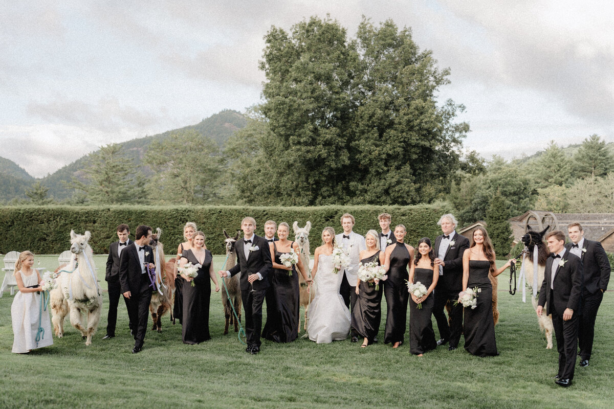 Bride and Groom at Chattooga Club Cashiers NC by Wedding Photographer Nick Francis-71