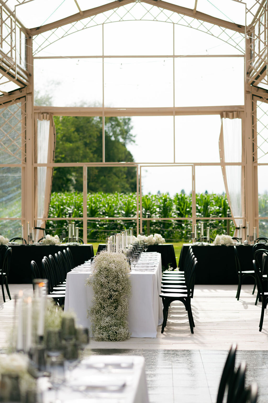 Wheatfield Estate x Tamara Rose Photography167