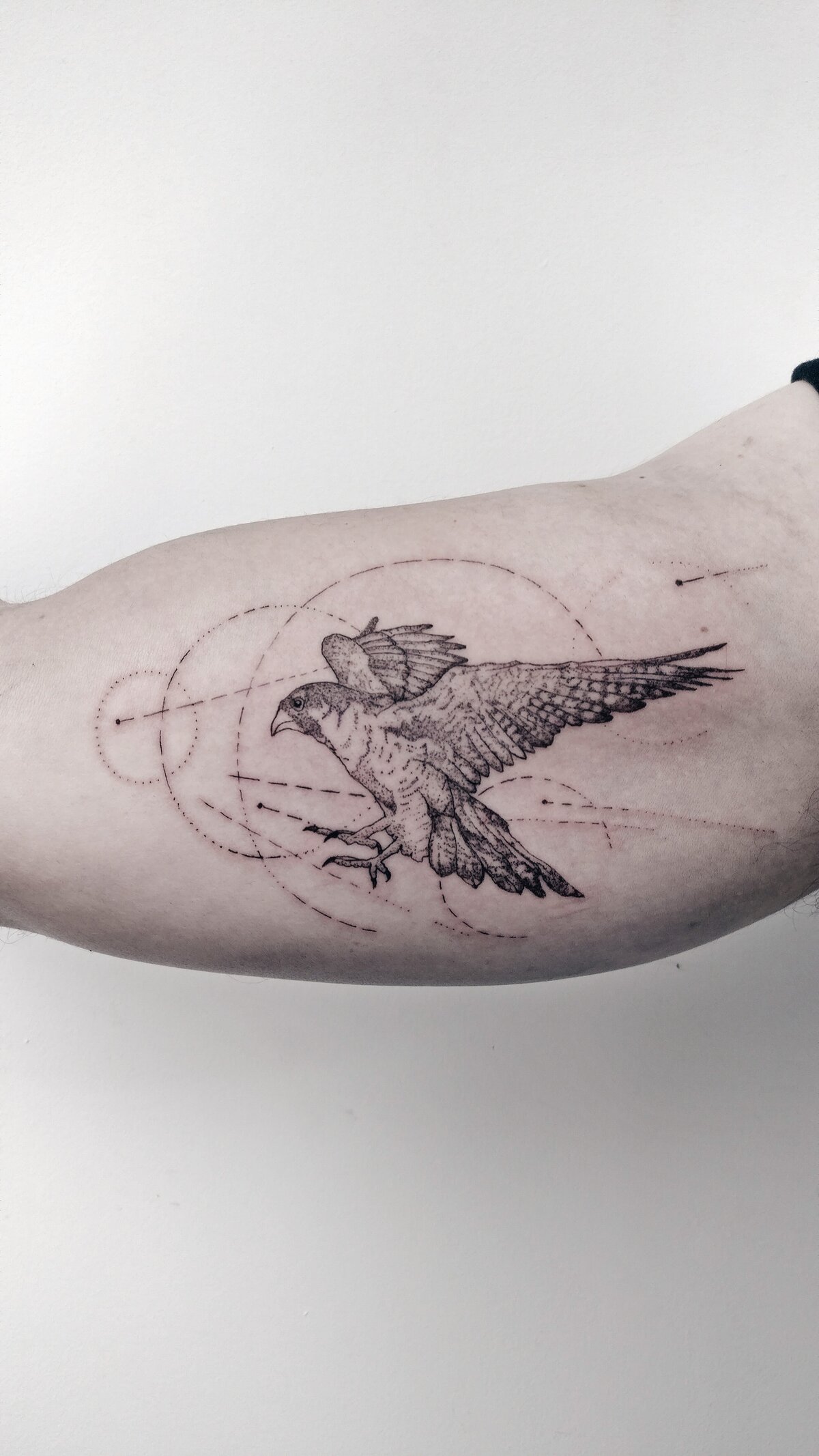 eagle tattoo, dotwork tattoo, geometric tattoo, single needle tattoo