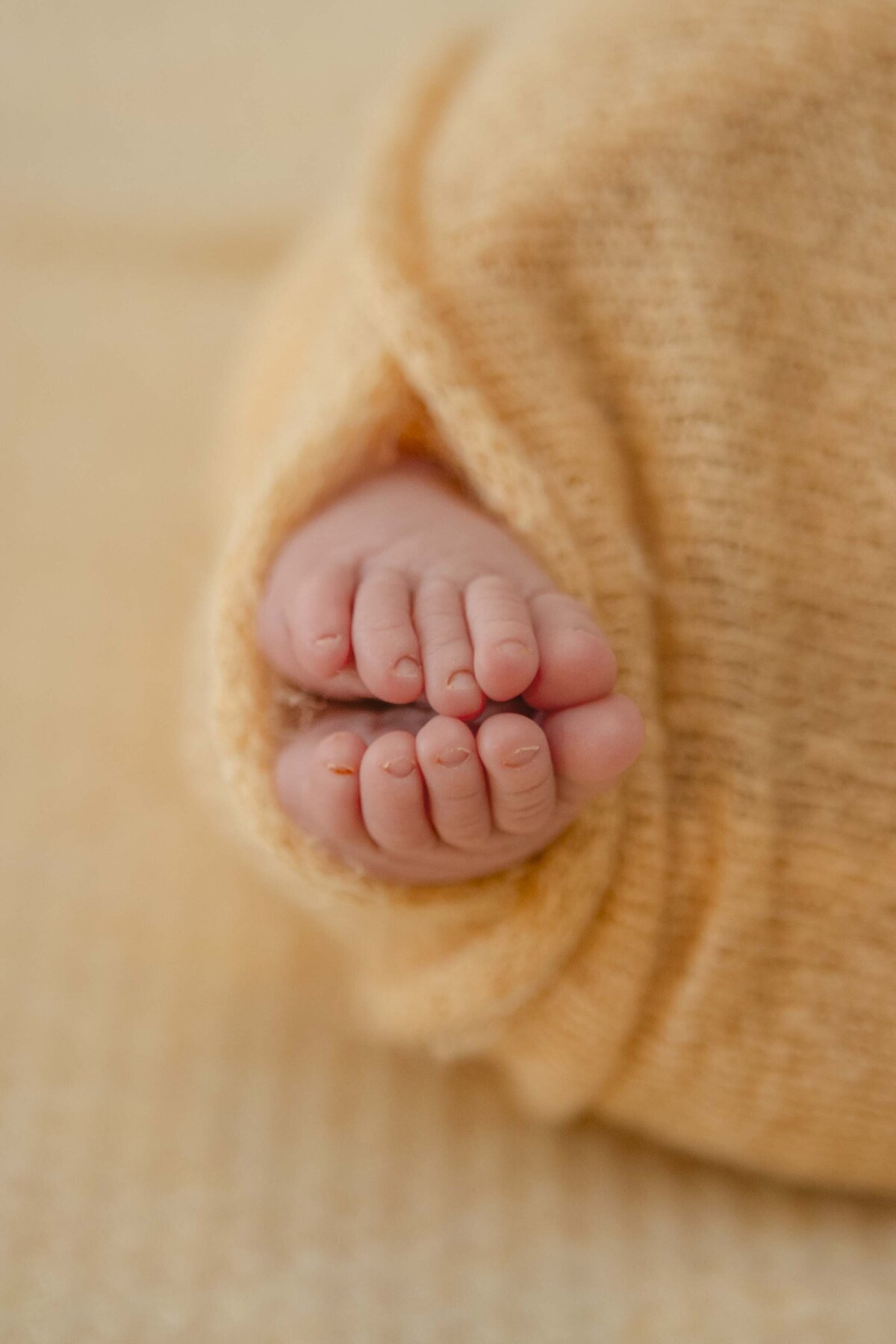 marietta newborn photographer
