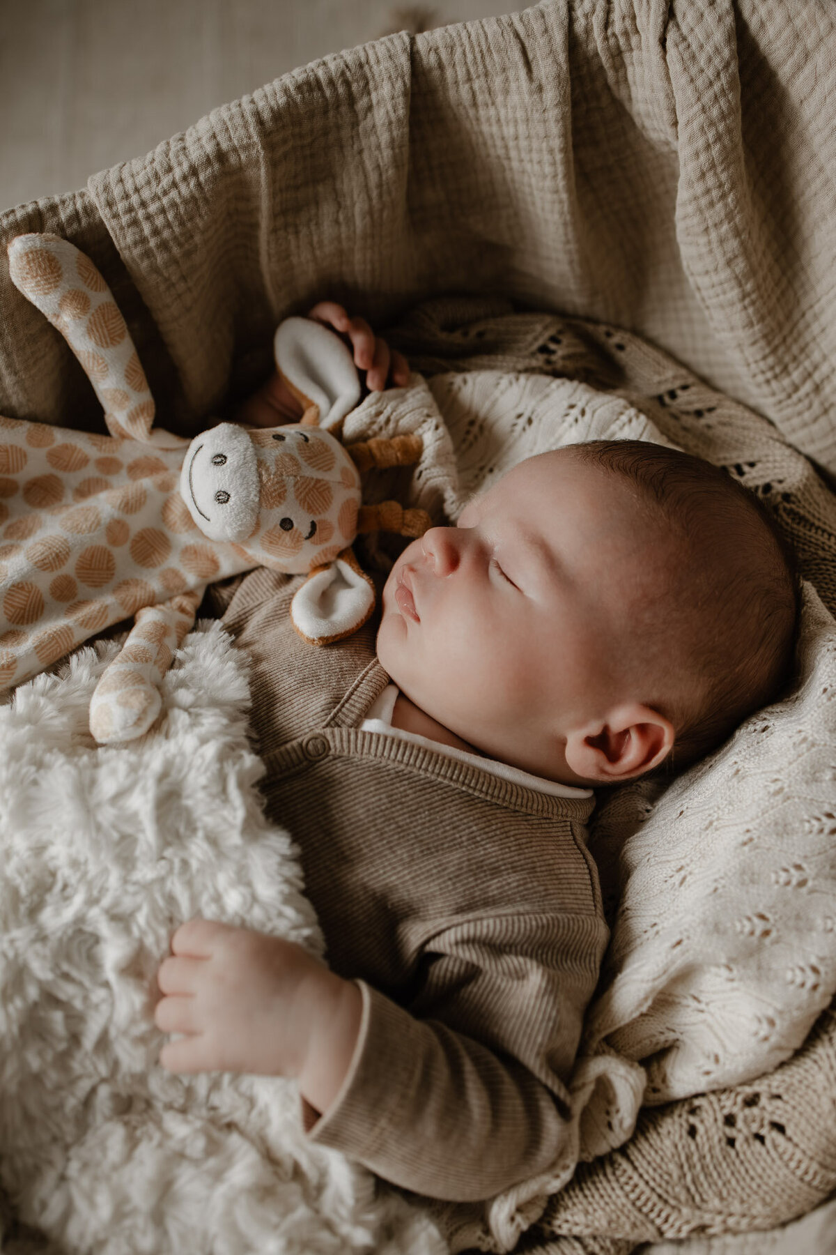 Newborn_fotograaf_Mechelen-13