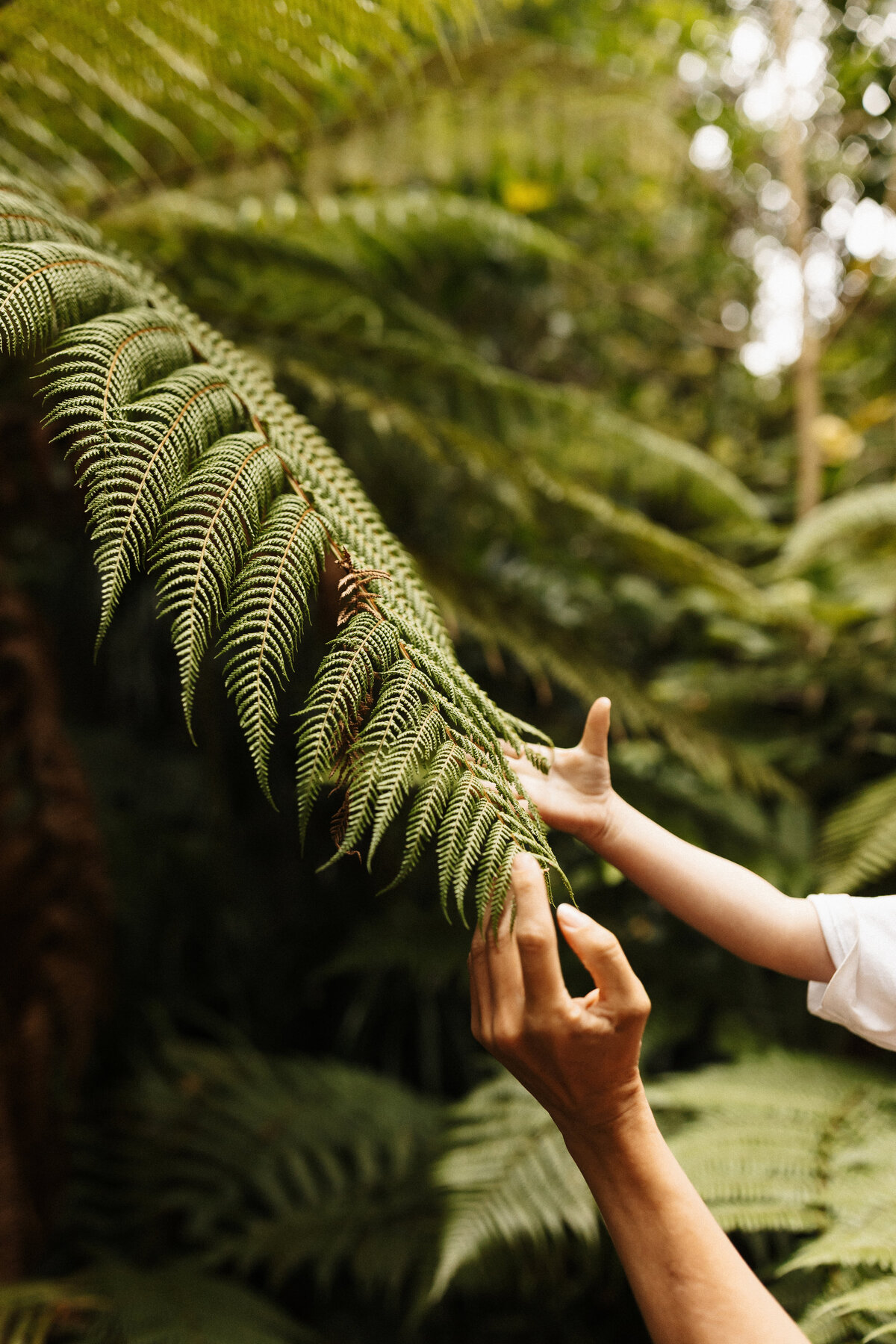 A father and child touching a fern