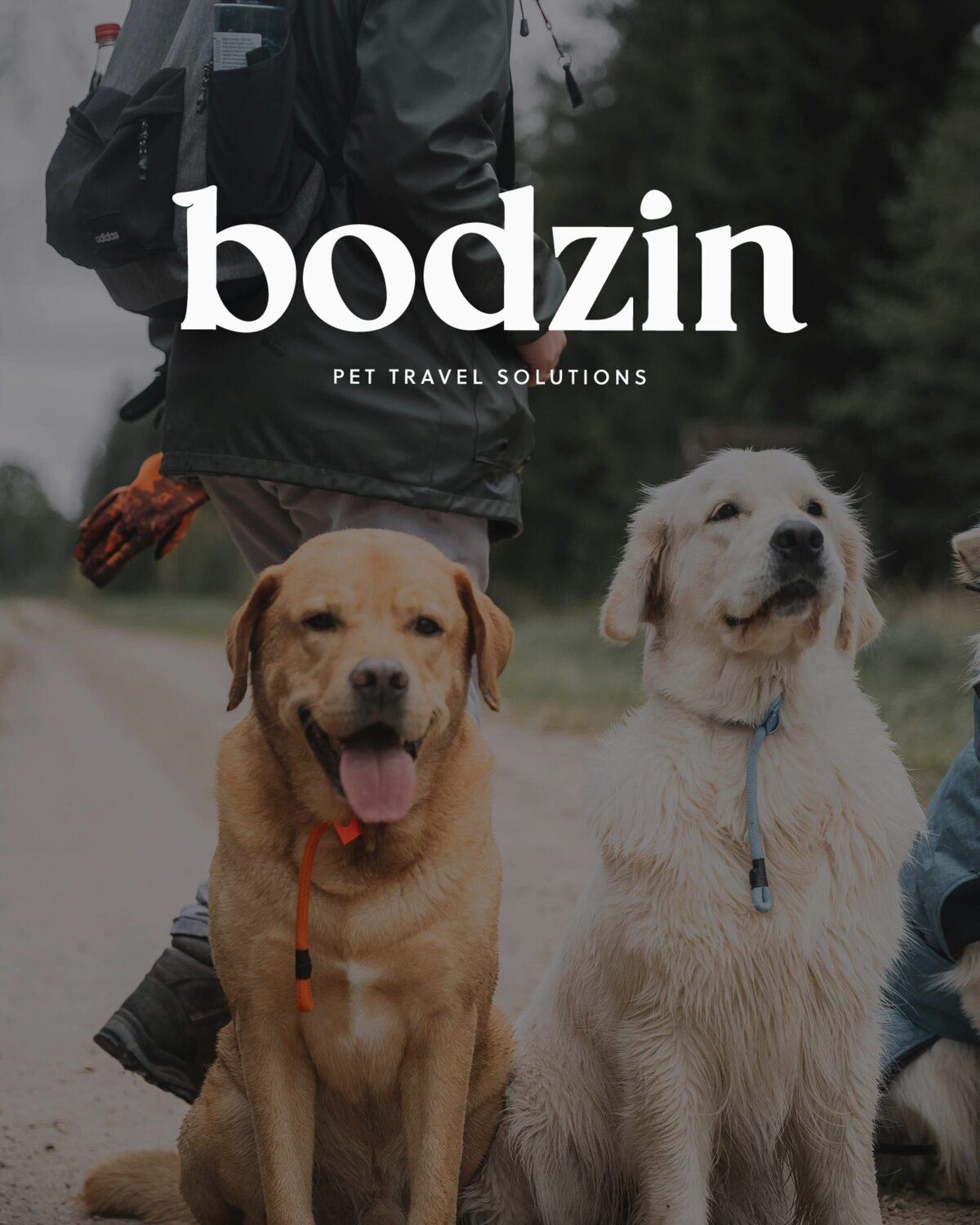 Logo Design for Pet Industry