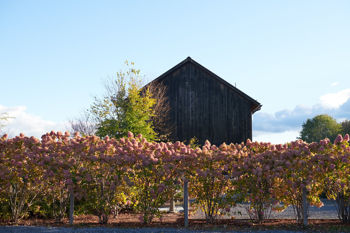 Copake Barns exterior and landscaping.