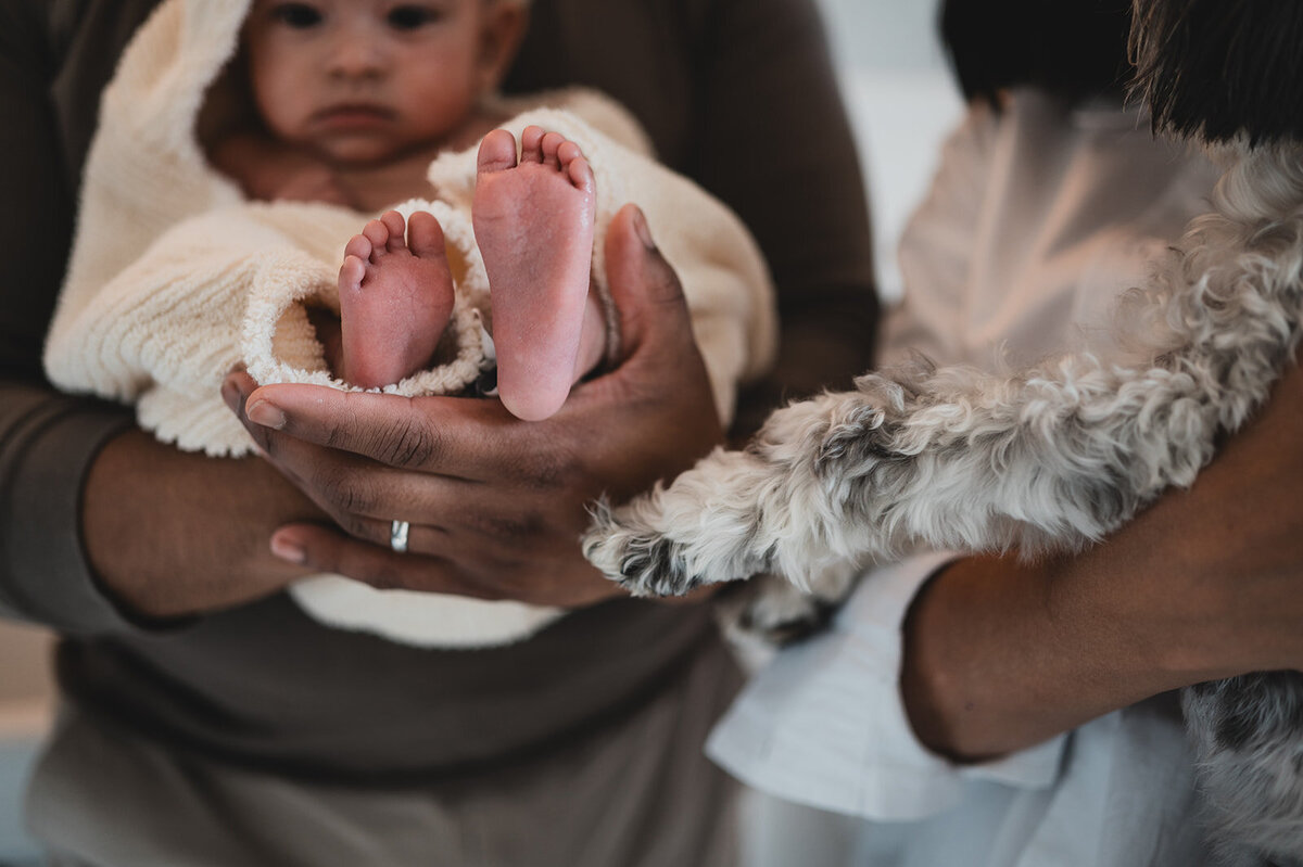 baby zoe portfolio03