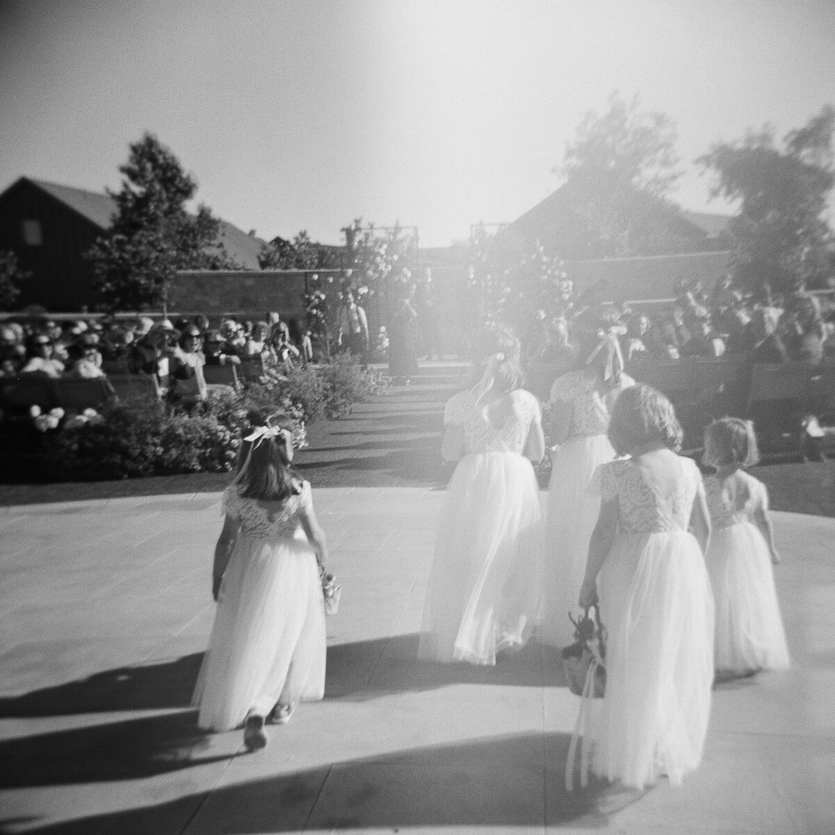 Stanly-Ranch-wedding-dejauregui-photography-64