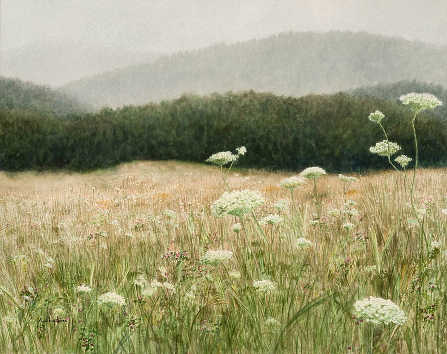 Mist and Lace © Alan Shuptrine, Artist