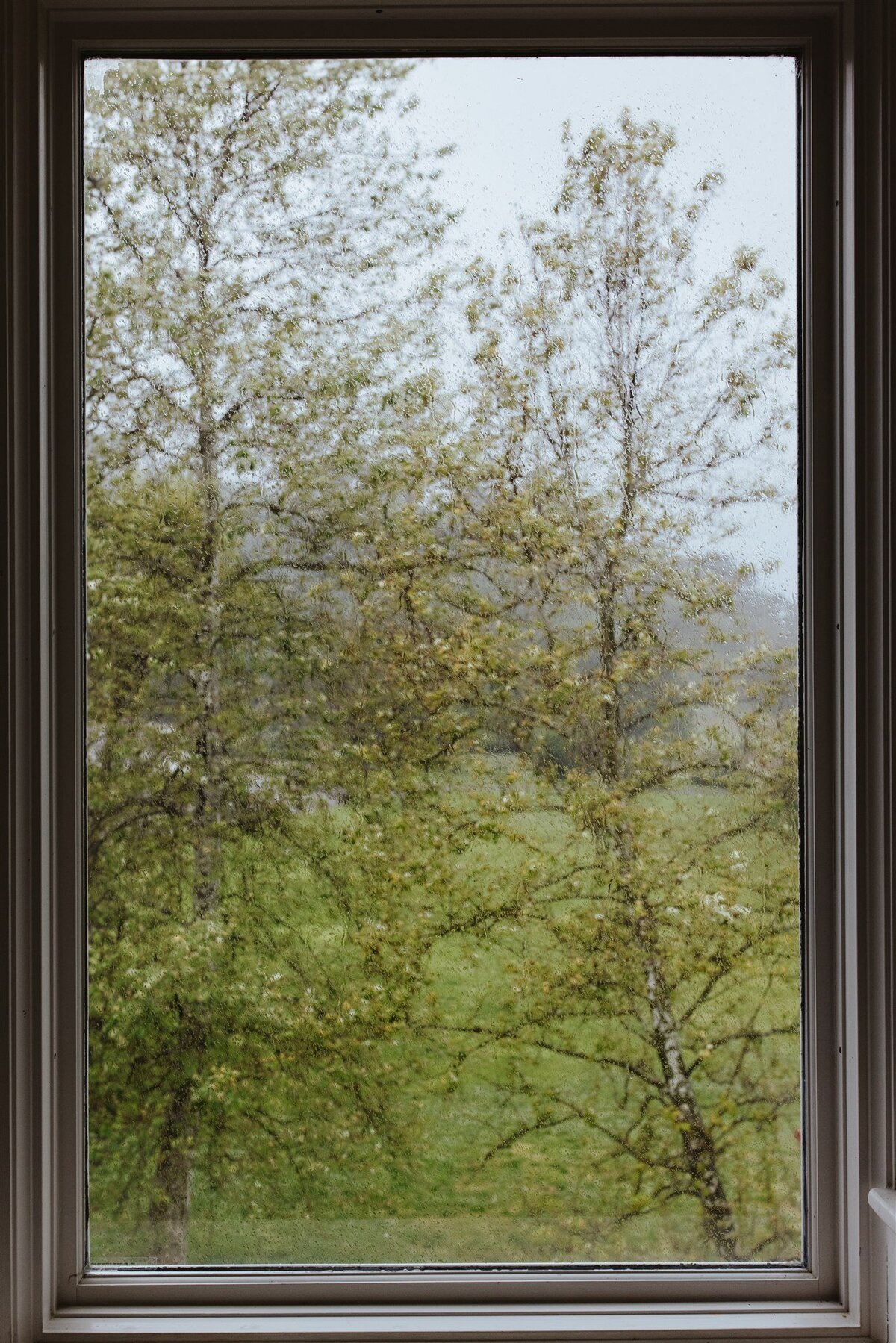 Rainy-California-Wedding-hanna-walkowaik-photography-0178