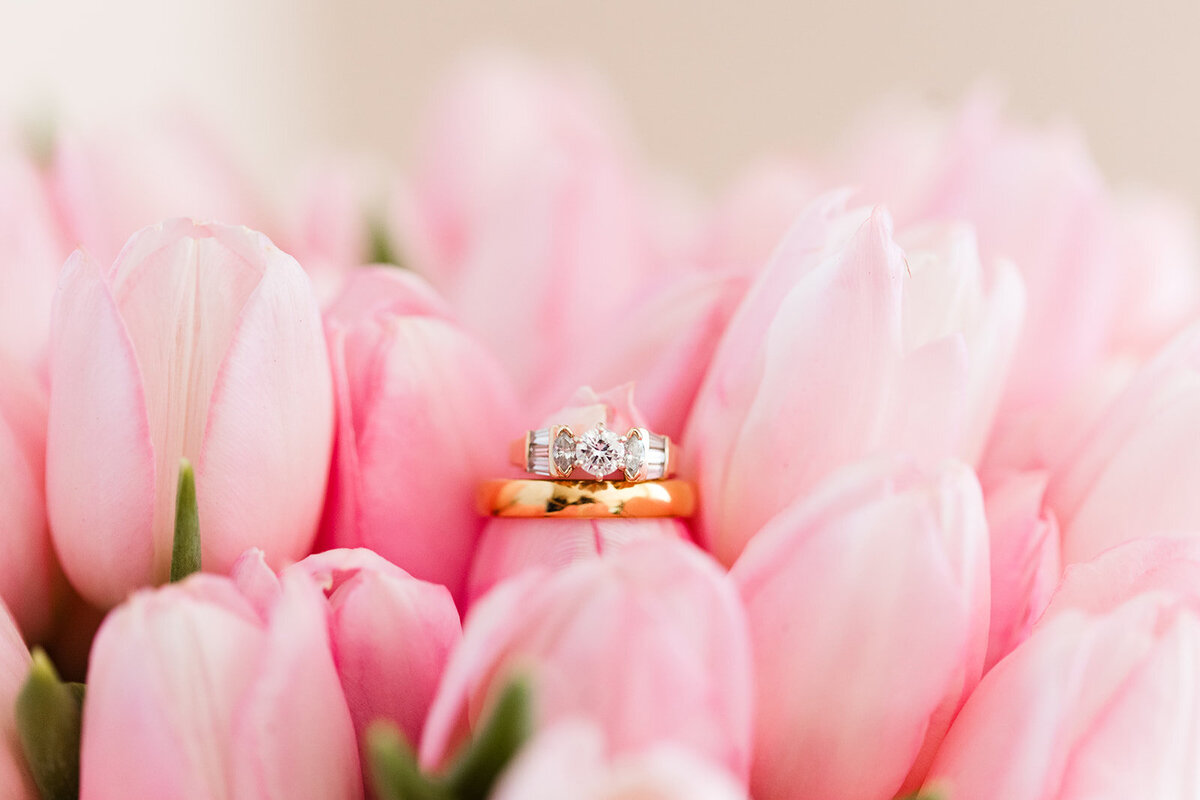 -Ivey-wedding-WestRose-5
