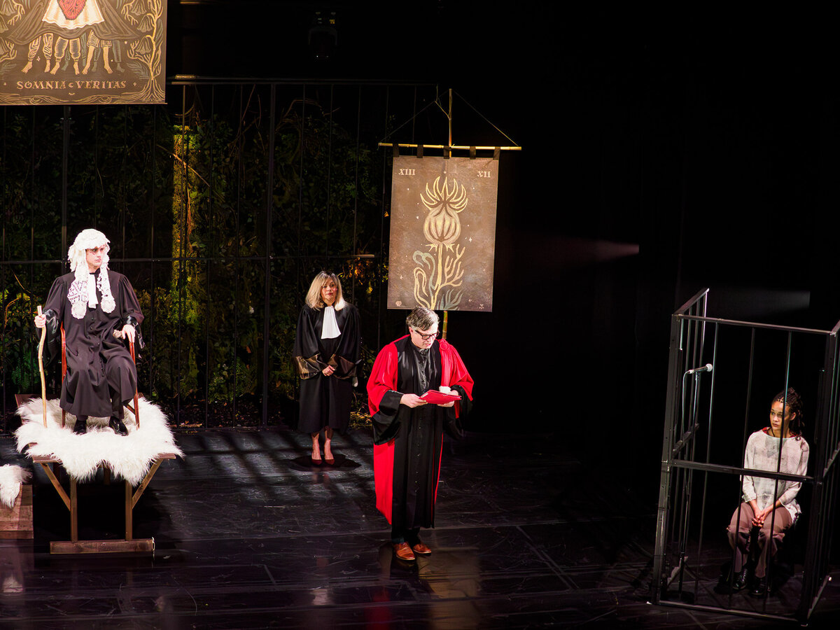 ROBIN  TPV_2130259-2-Enhanced-NR