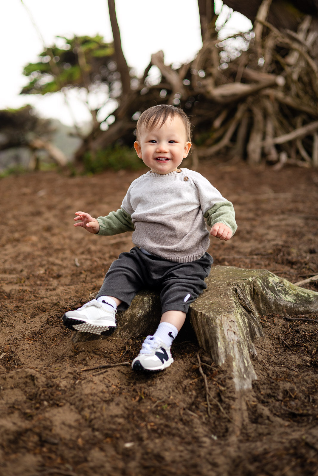 Toddler sitting on a tree stump smiling during Bay Area school photography lifestyle session – Ellobelle Photography