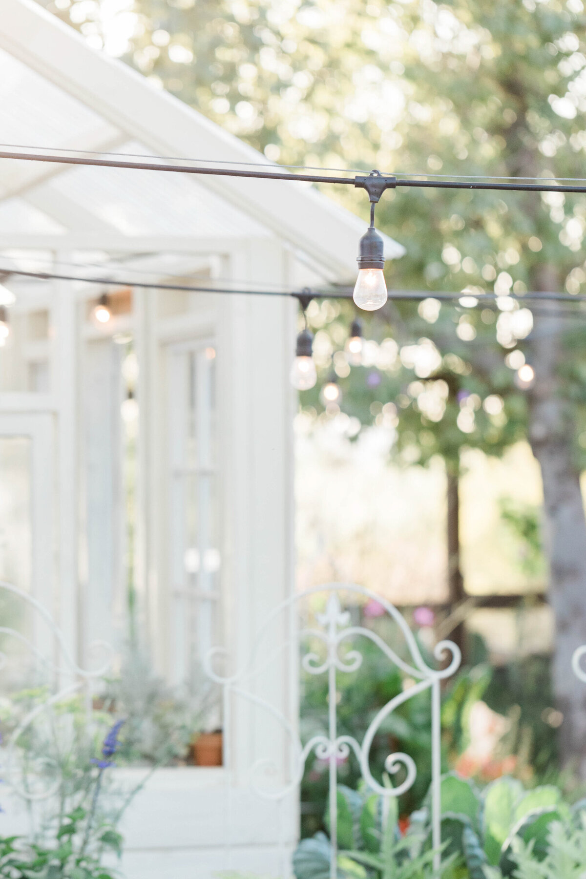 String Lights in Backyard