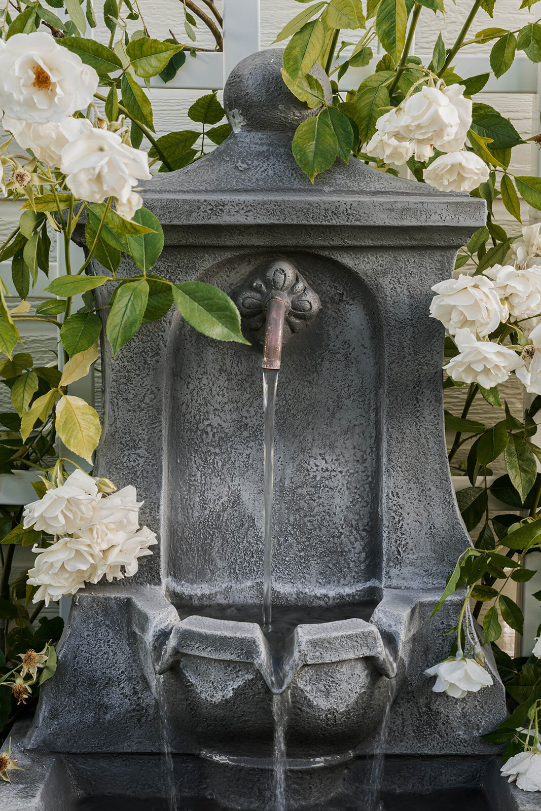 DSC00335_websize