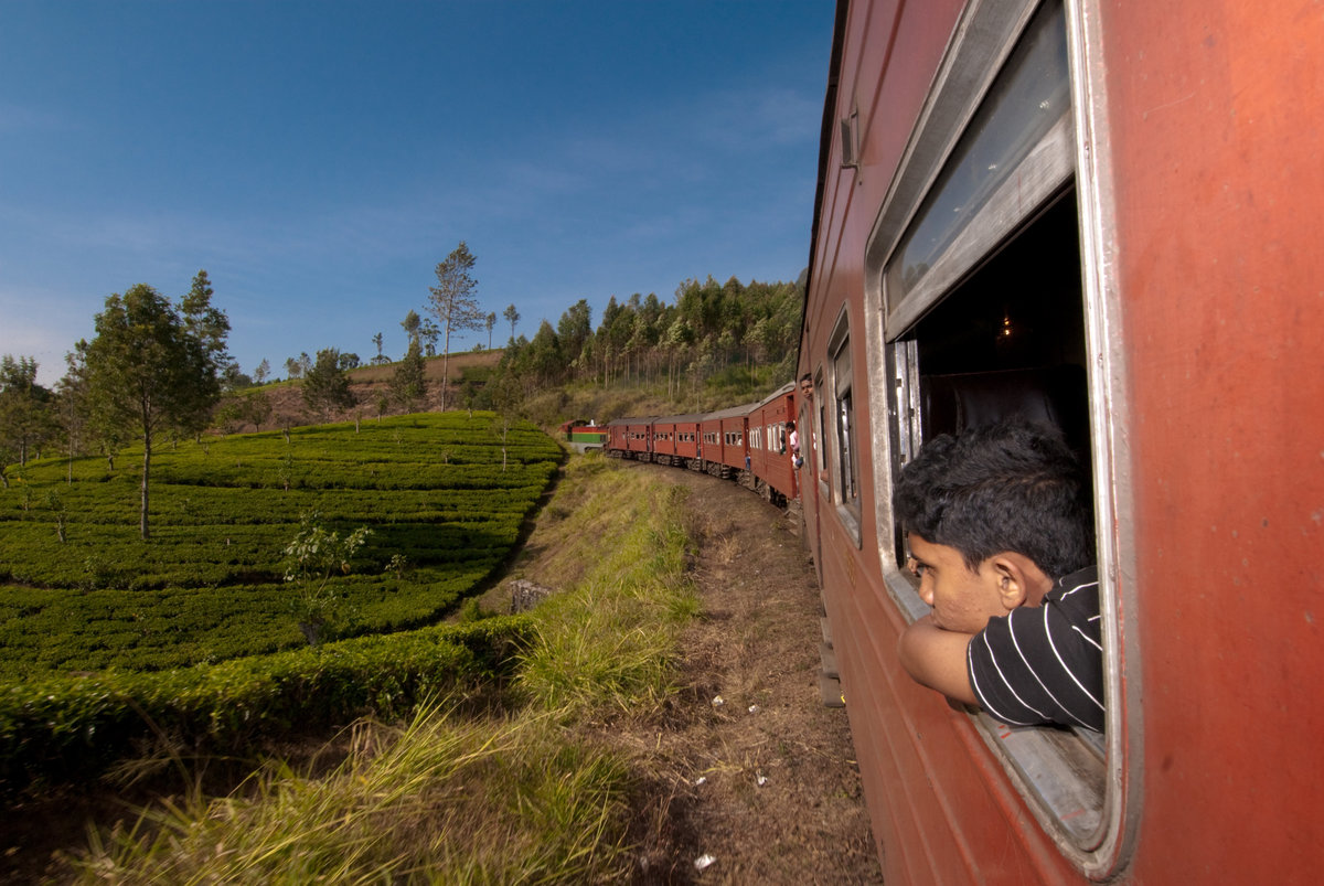 Relaxing On Train - Sri Lanka _DSC0265e-1