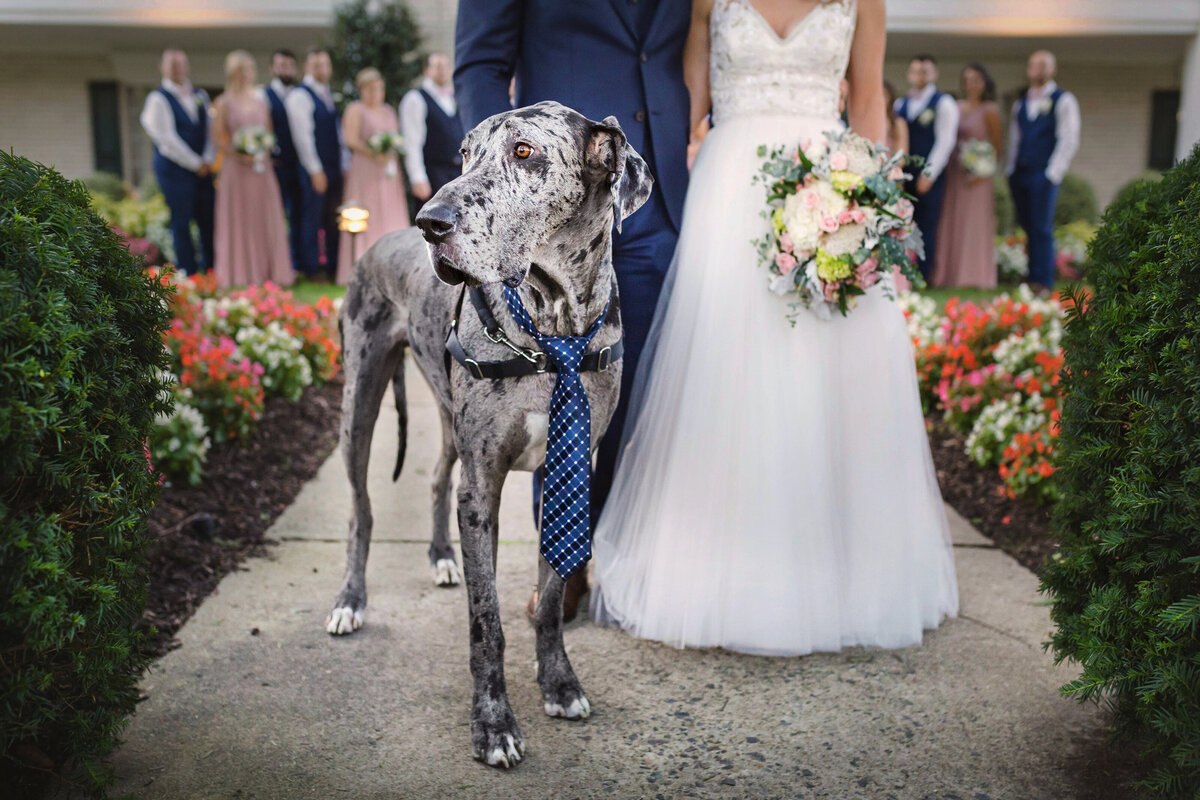 KOD_NewJersey_wedding_photographer_photographer_124