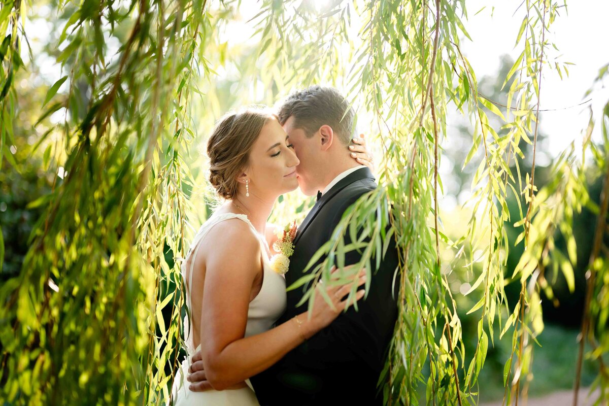 Bride and groom under a willow tree at Cantigny Park 