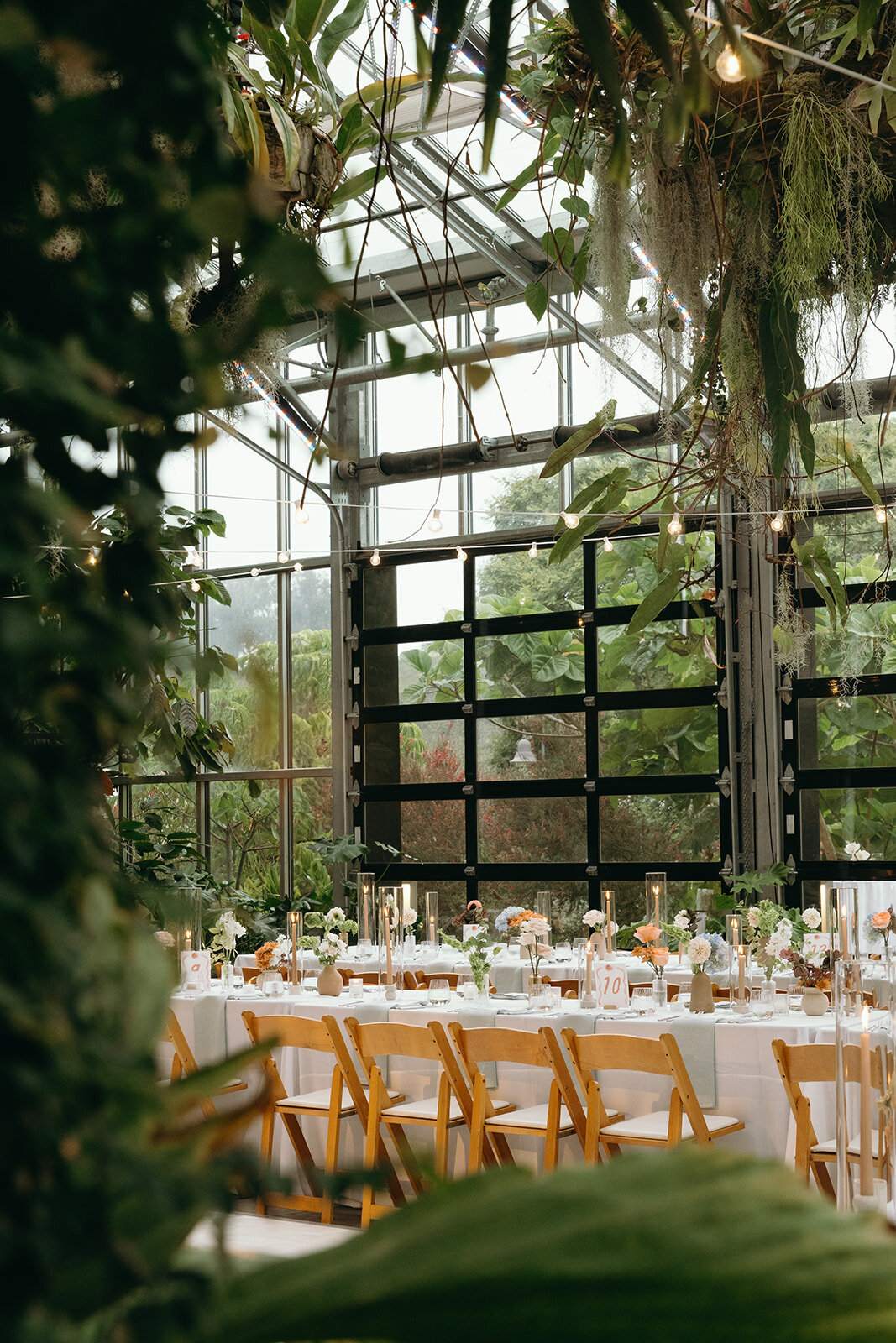imanleeevents-sandiegoeventplanner-sandiegopartyplanner-sandiegobotanicgardens20241004_19_32_12