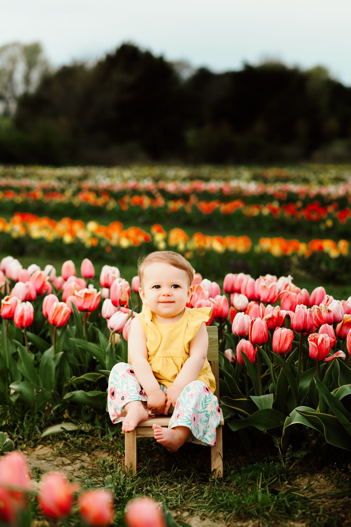 NWA childrens photographer, Northwest Arkansas best kids photography, Children's portraits near me, professional kids photos, Children's photography packages, Northwest Arkansas children's photographer