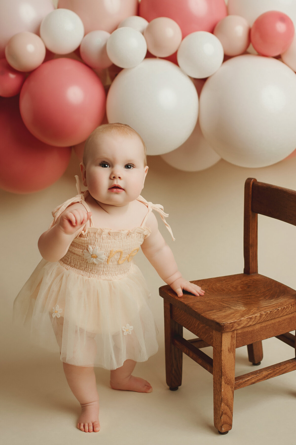 first birthday photography east aurora ny