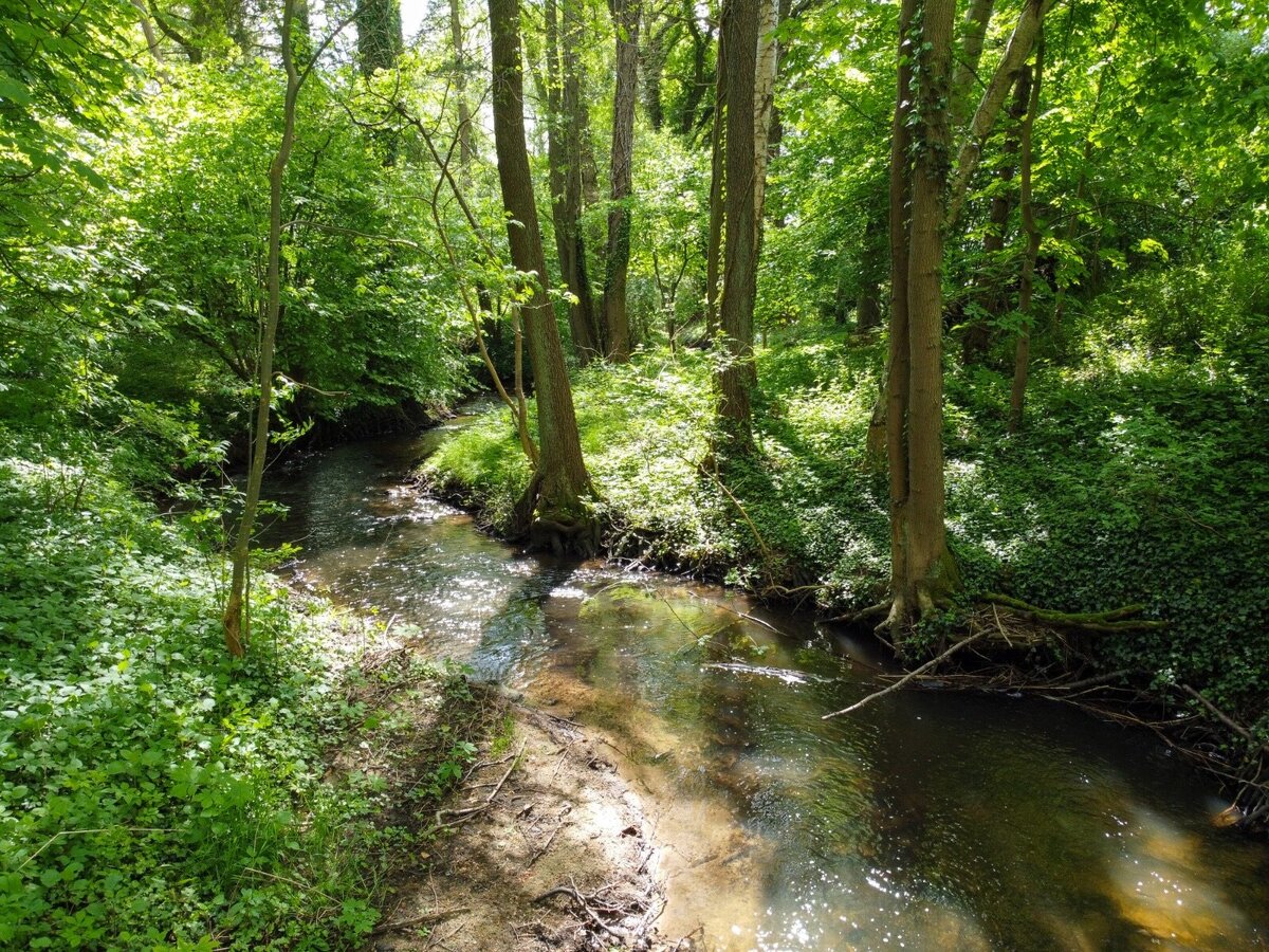 Wassermühle-Triglitz-Ferienunterkunft-Deutschland_2