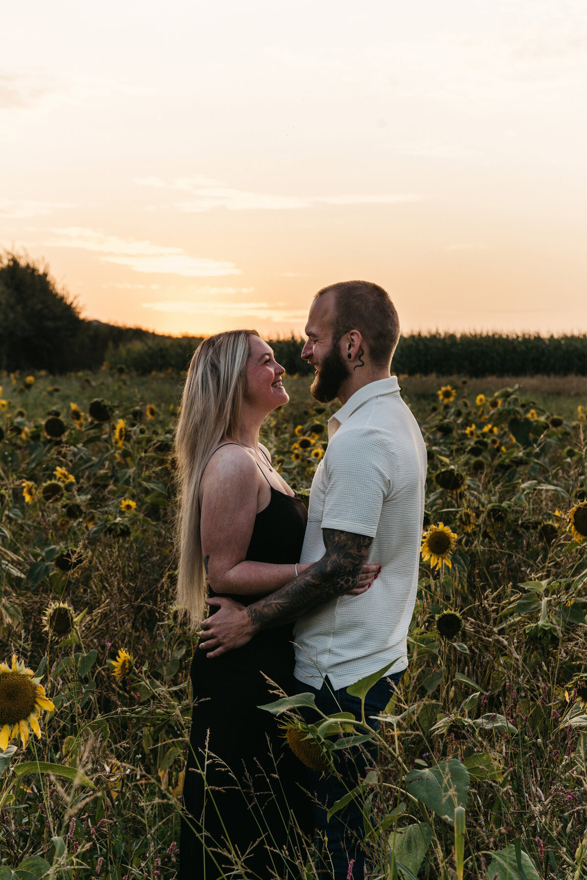 Koppelshoot in zonnenbloemen veld Vlaams-Brabant