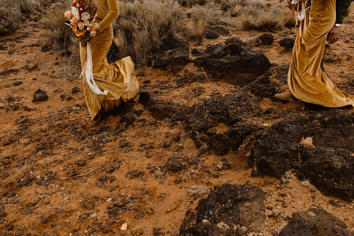 ZionSnowCanyon-dallinhassard-2454