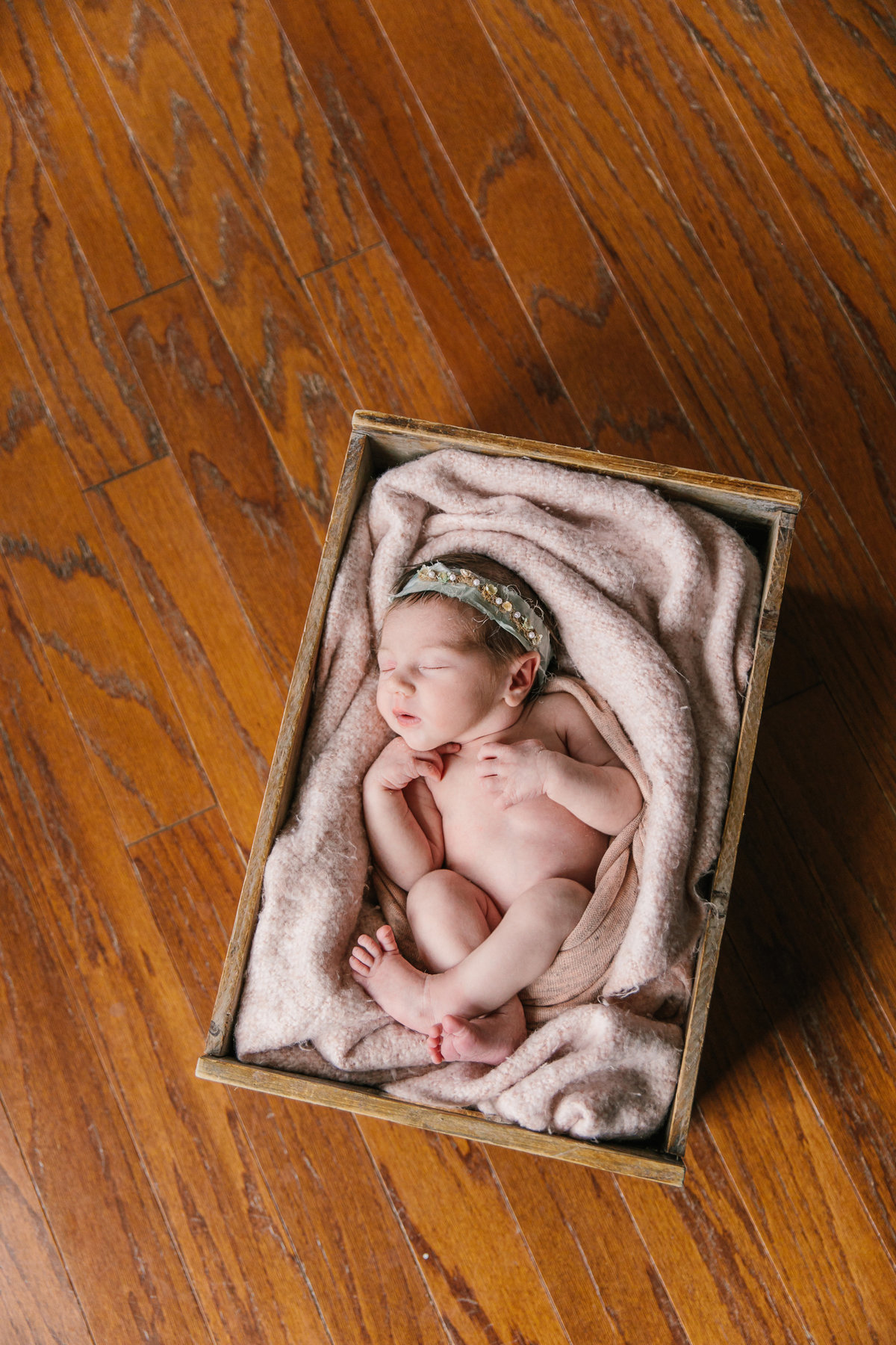 raleigh newborn photographer-lena-9096