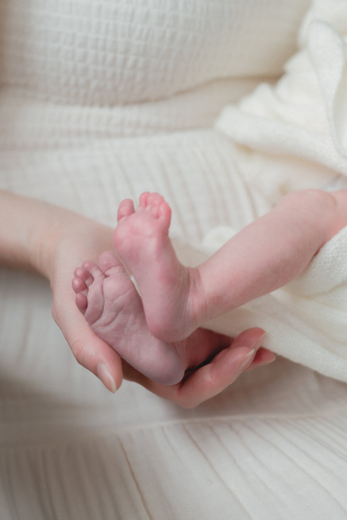 Mother holding baby newborn feet