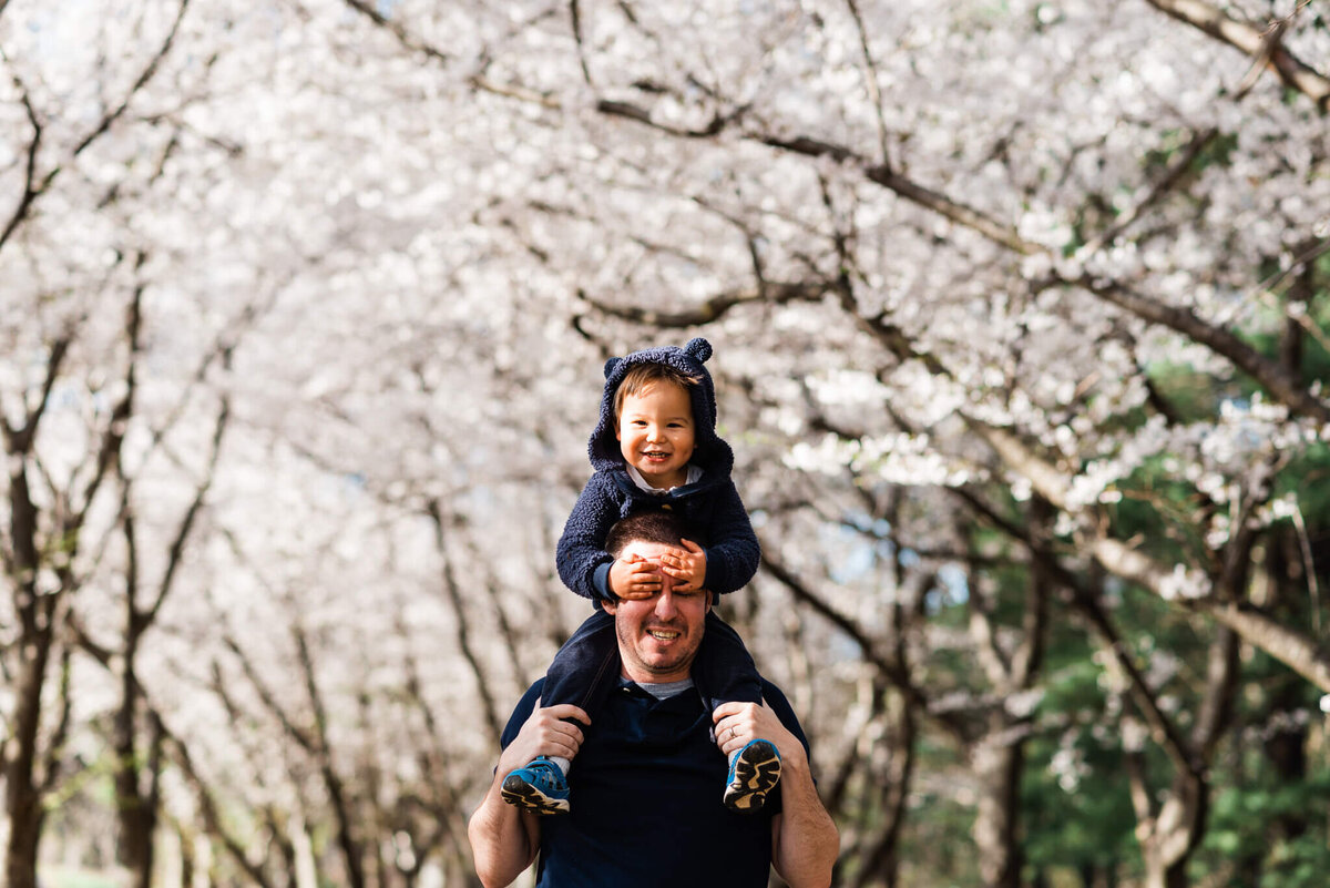 dad holding son on his shoulders nestled against the cherry blossoms of Reston VA