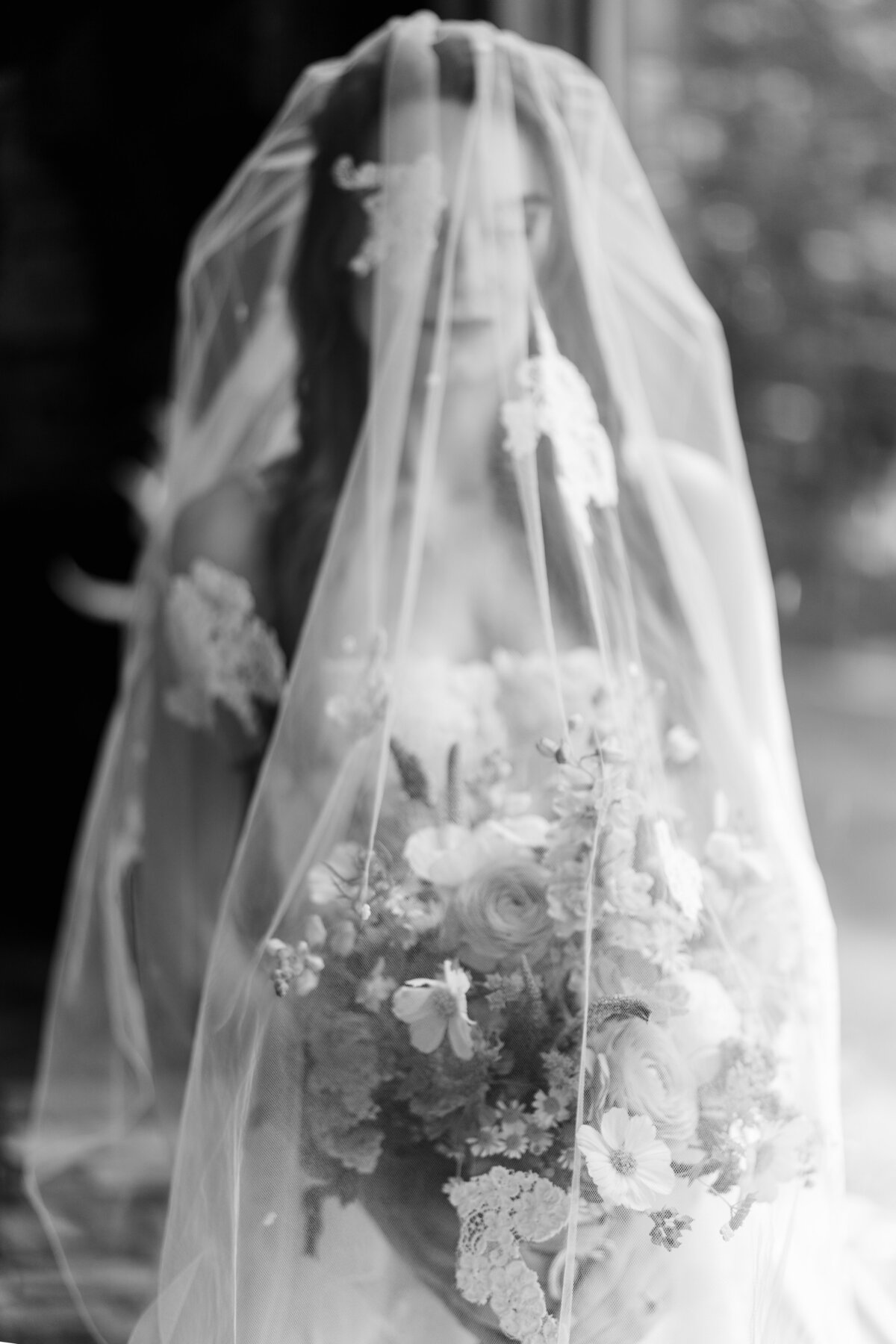 25033_2177_bw